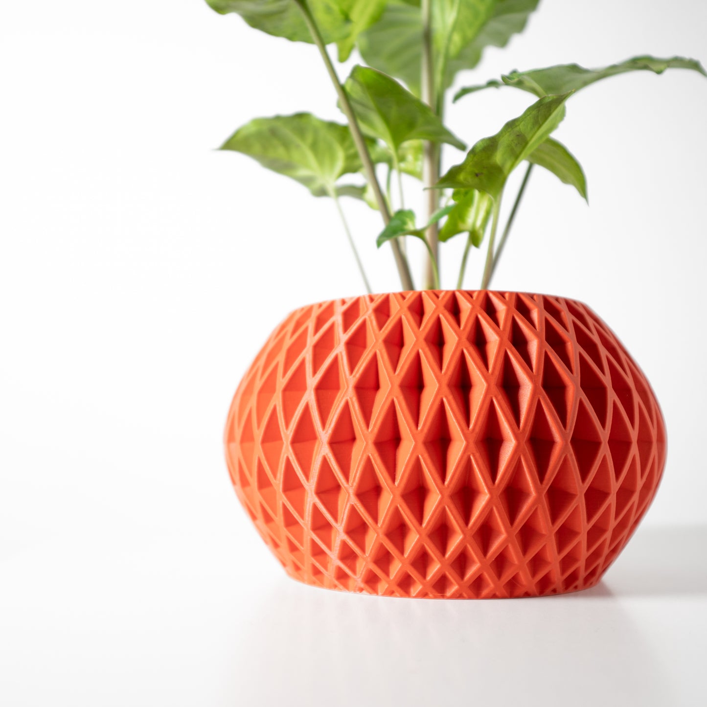 The Gisar Interior Planter Pot with Drainage Tray