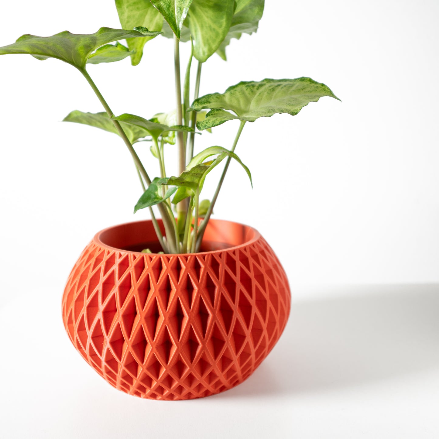 The Gisar Interior Planter Pot with Drainage Tray