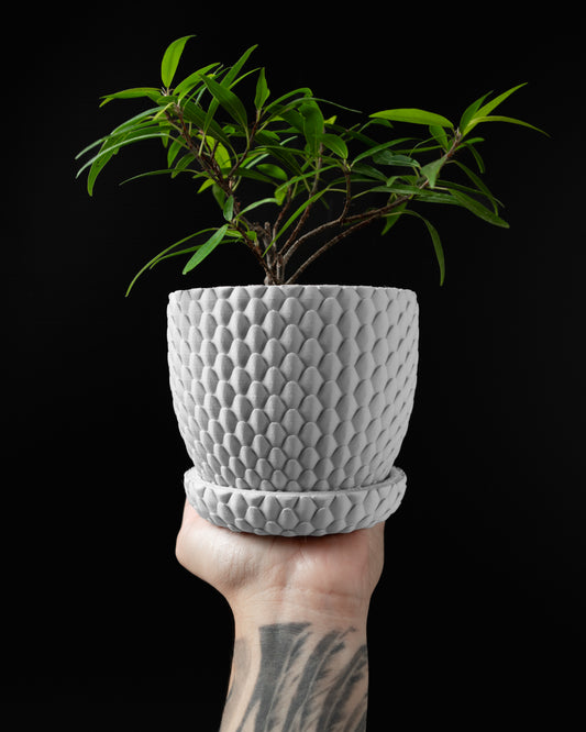 DRAGONSCALE Planter Pot 01