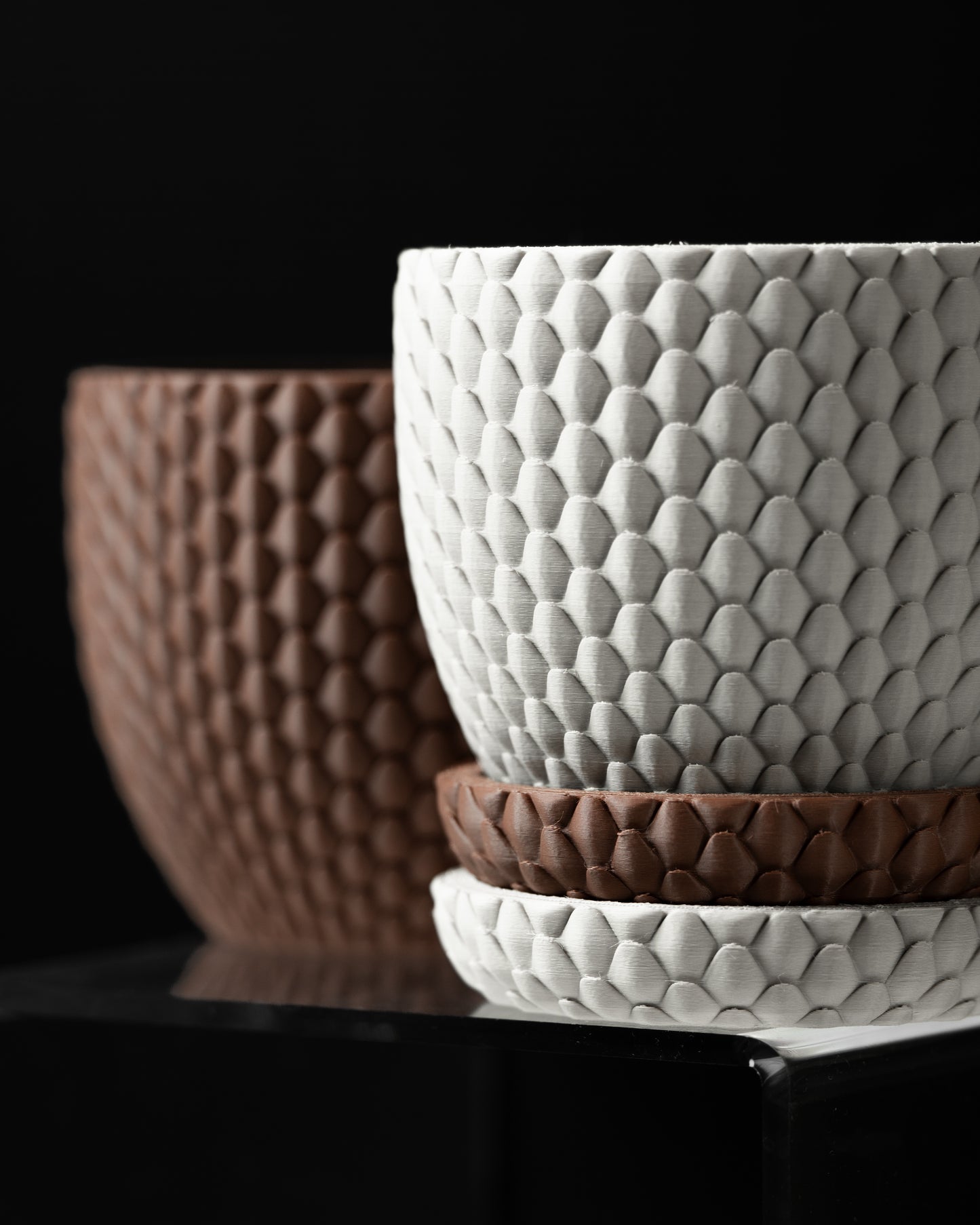 DRAGONSCALE Planter Pot 01