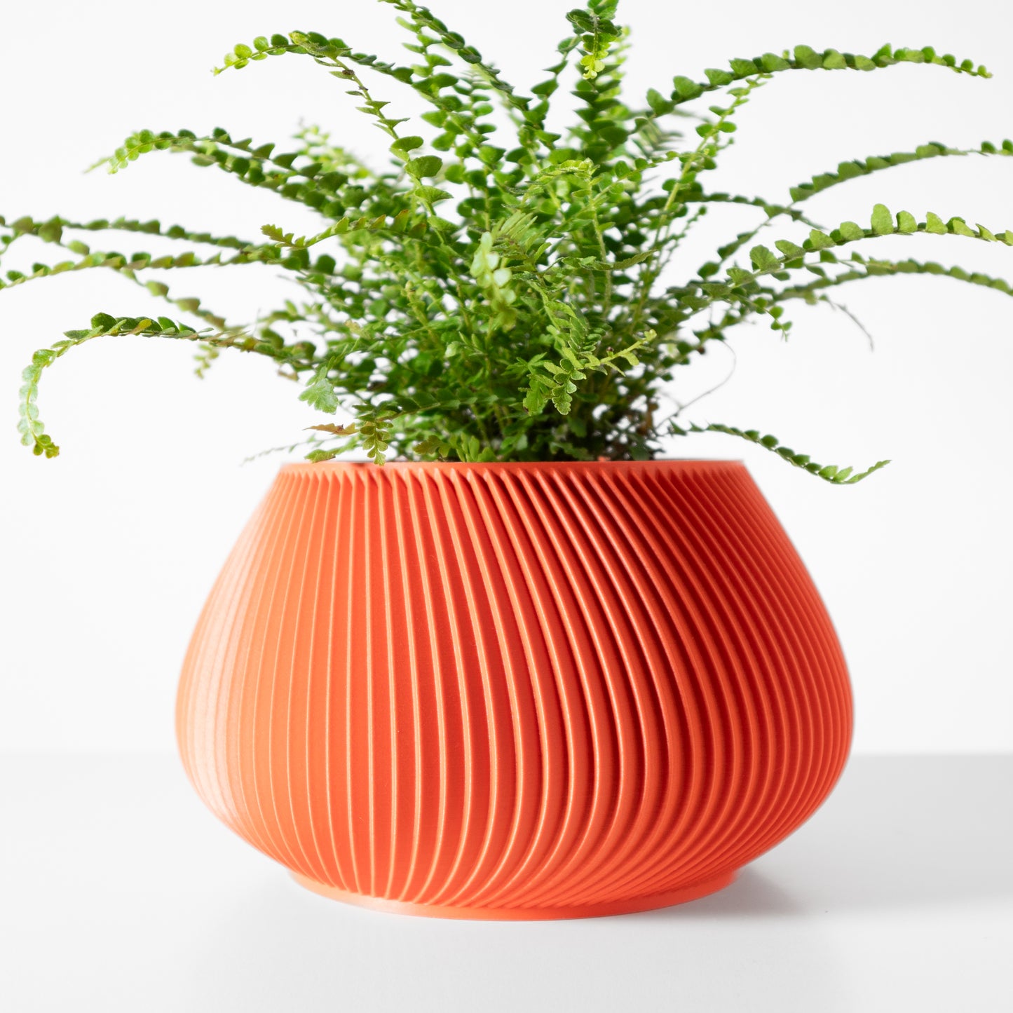 The Davi Interior Planter Pot with Drainage Tray