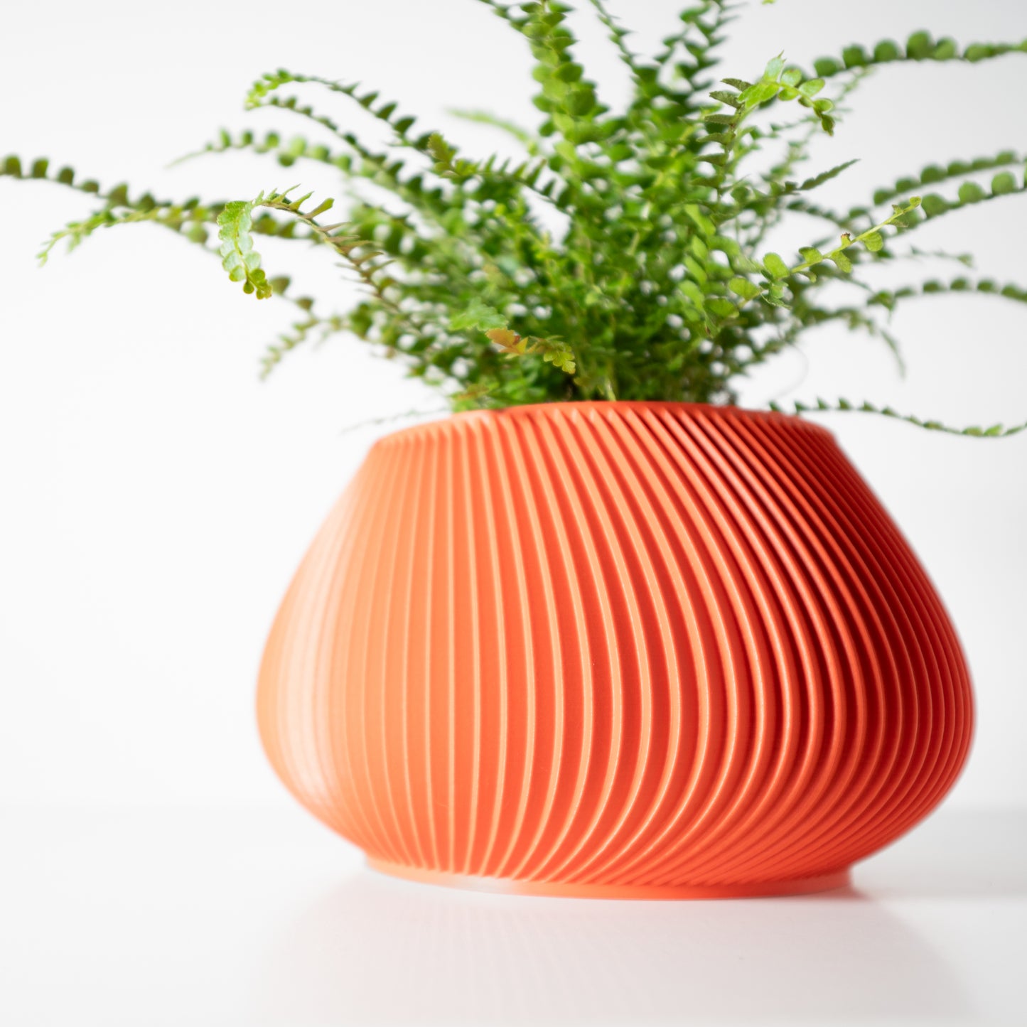 The Davi Interior Planter Pot with Drainage Tray