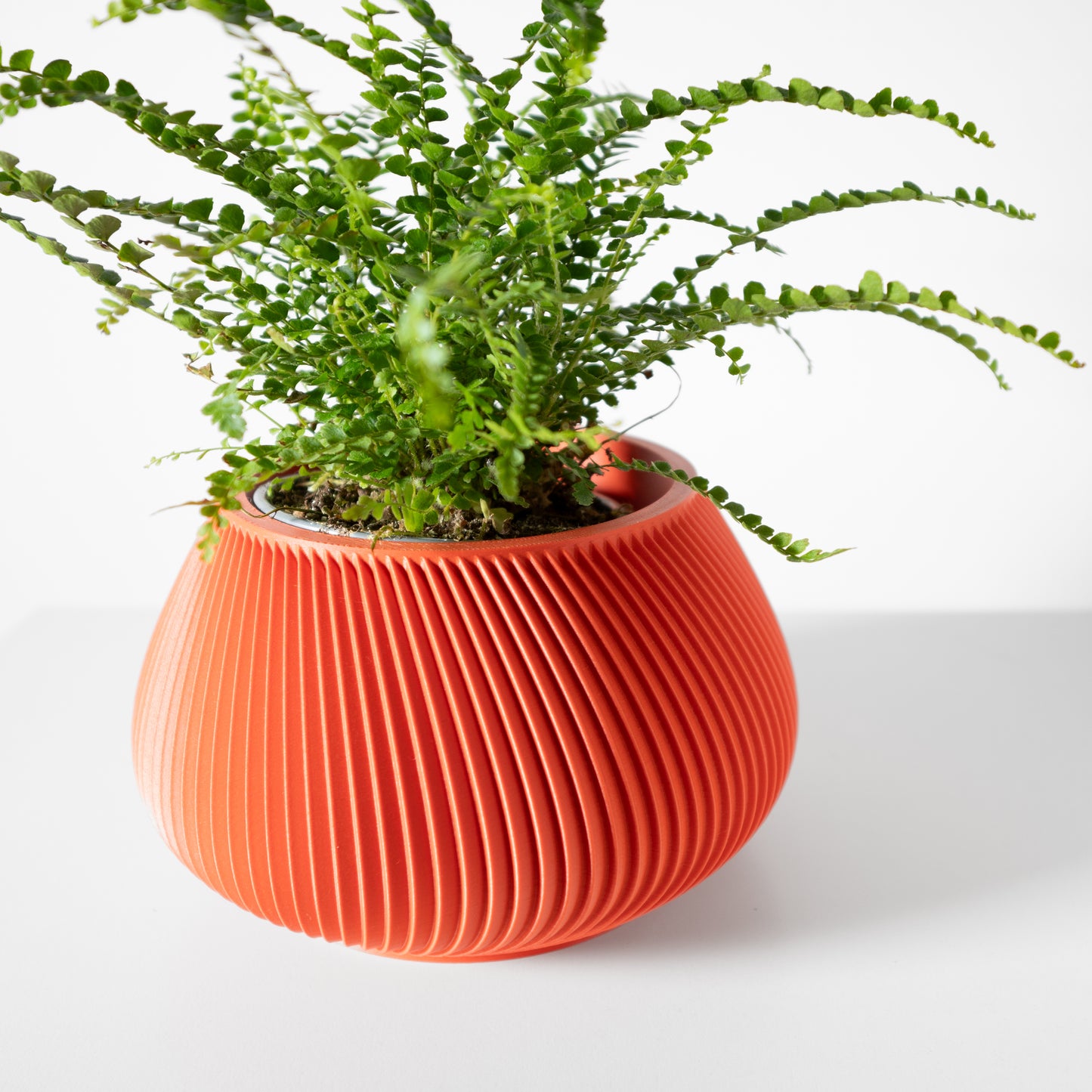 The Davi Interior Planter Pot with Drainage Tray