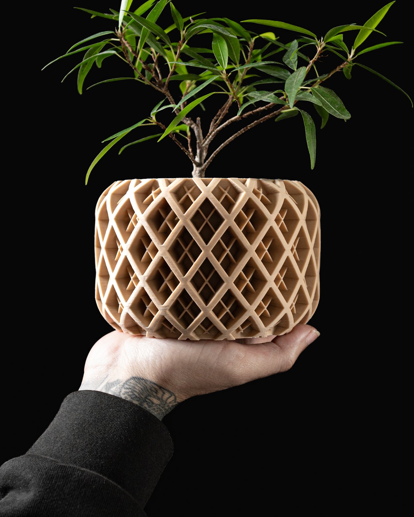 TORIO Interior Planter Pot