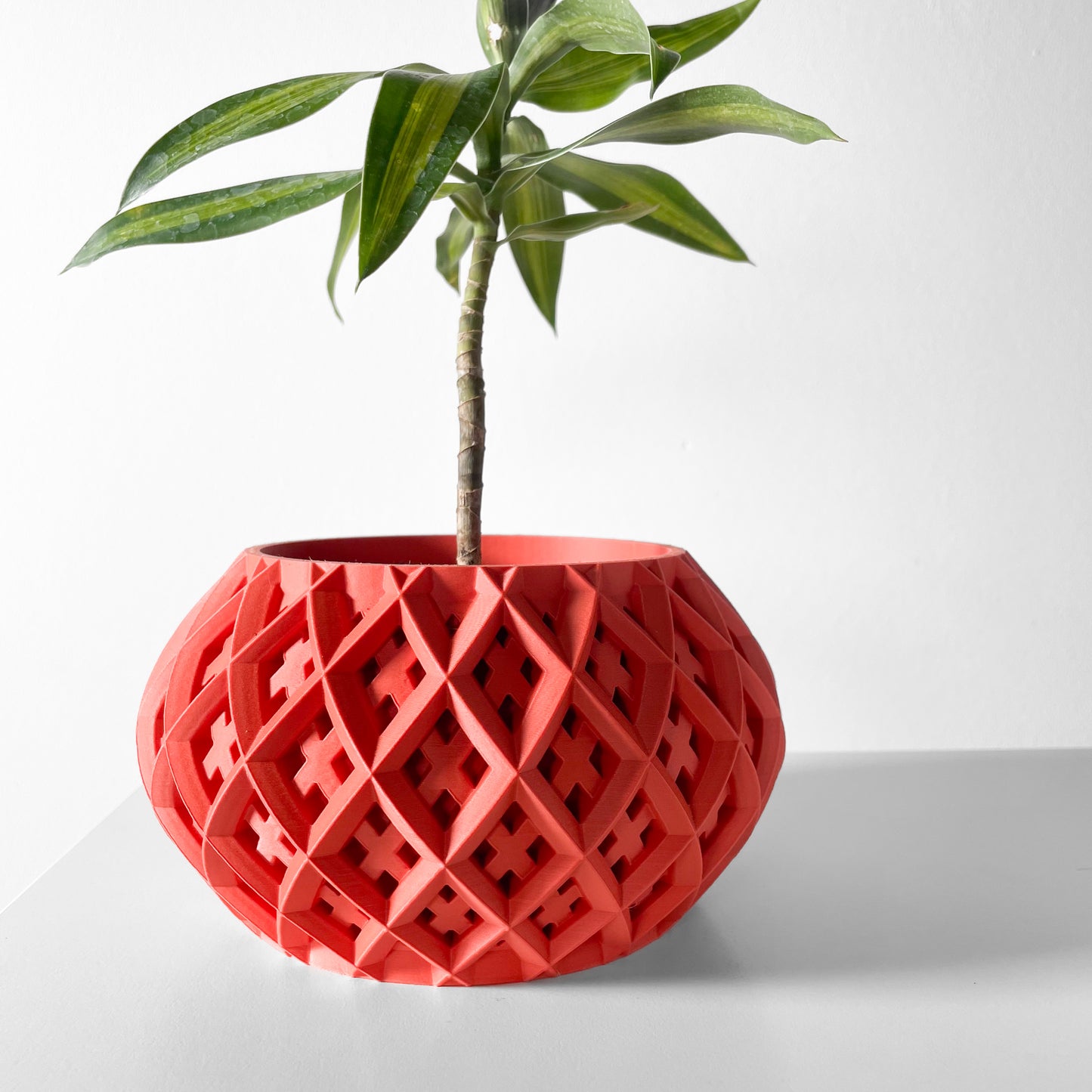 The Rokio Interior Planter Pot with Drainage Tray