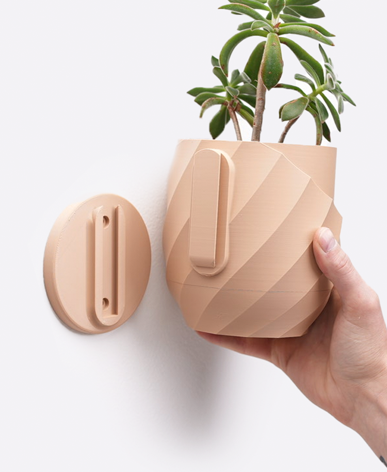 Cracked Spiral Interior Planter - Wall Mounted