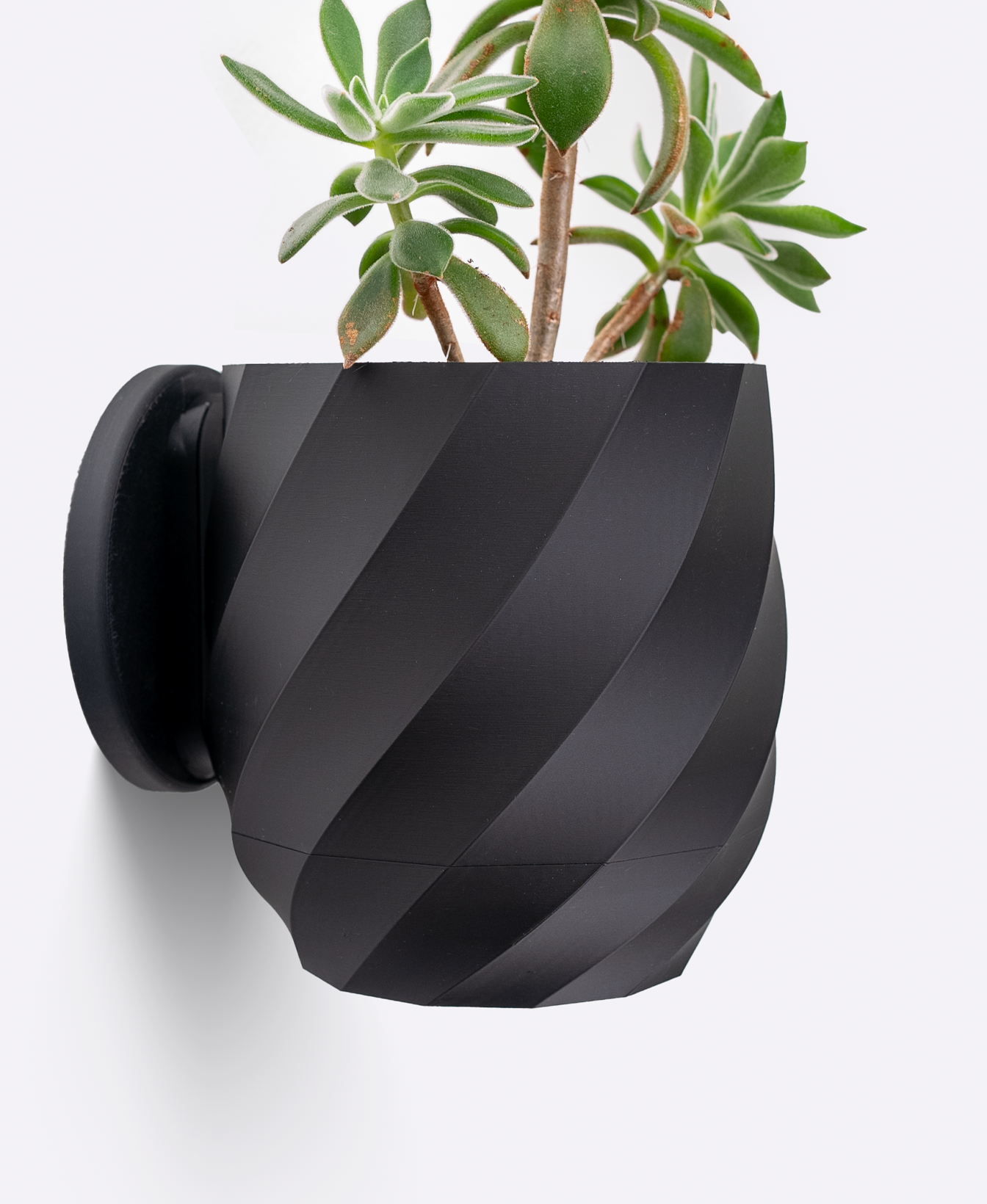 Twisted Interior Planter - Wall Mounted