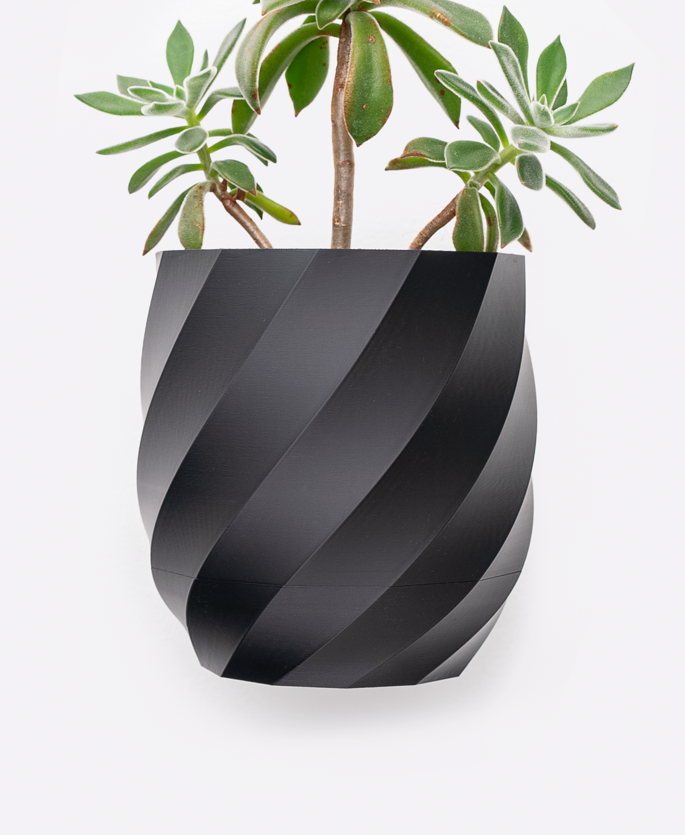 Twisted Interior Planter - Wall Mounted