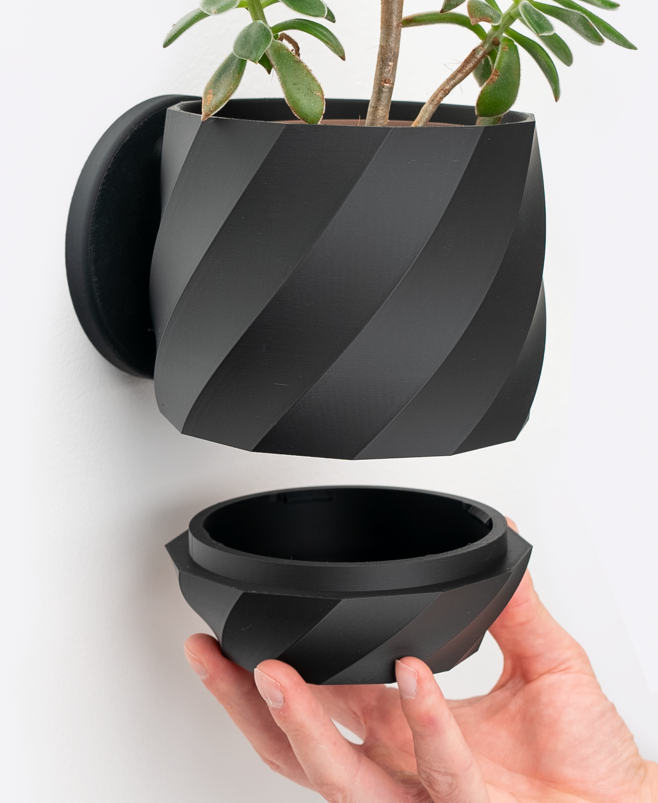 Twisted Interior Planter - Wall Mounted