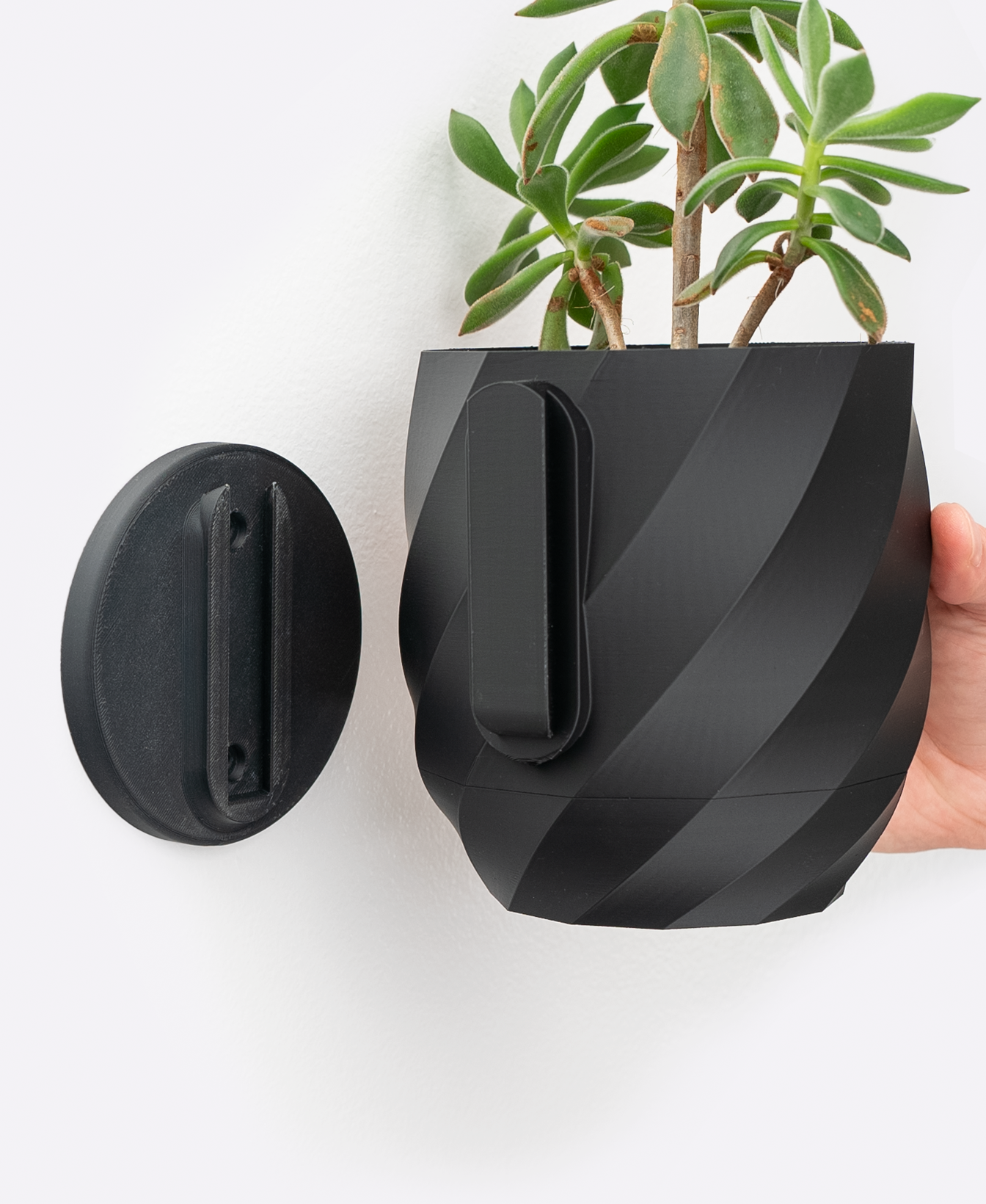 Twisted Interior Planter - Wall Mounted