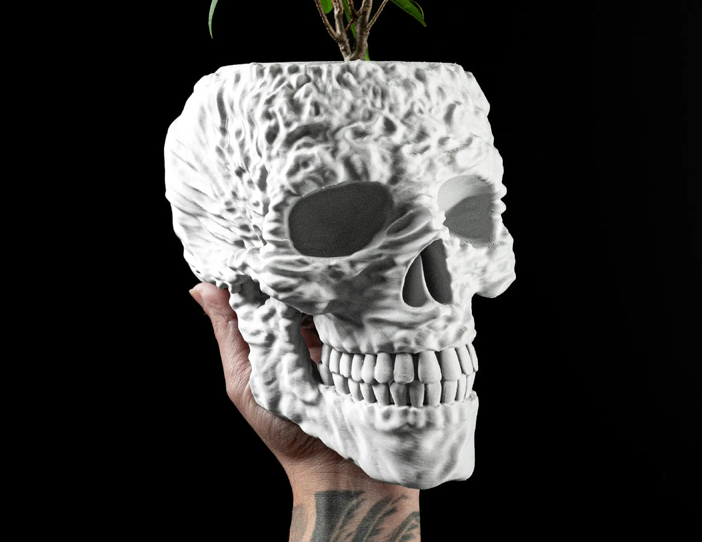 Skull Interior Planter Pot