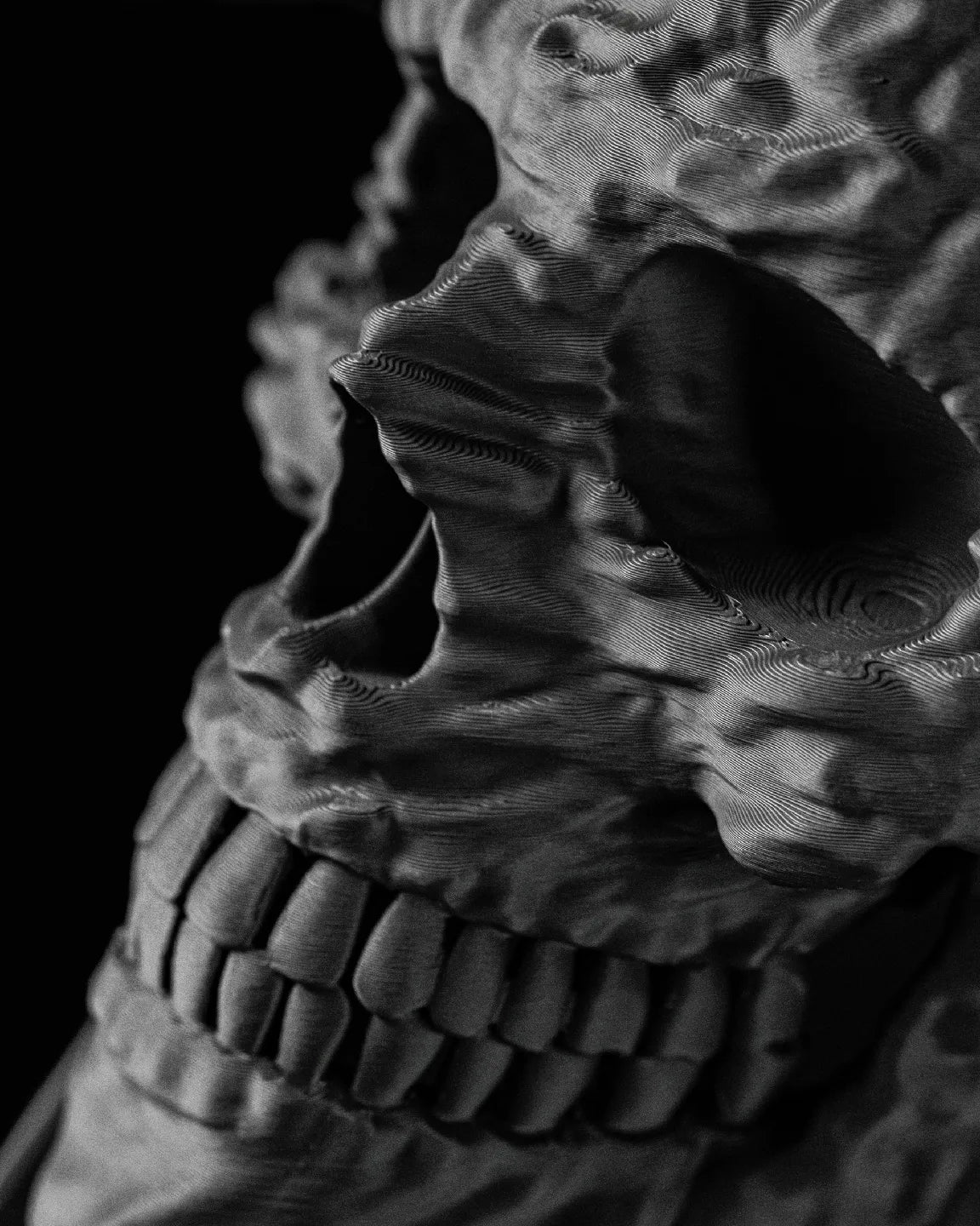Skull Interior Planter Pot