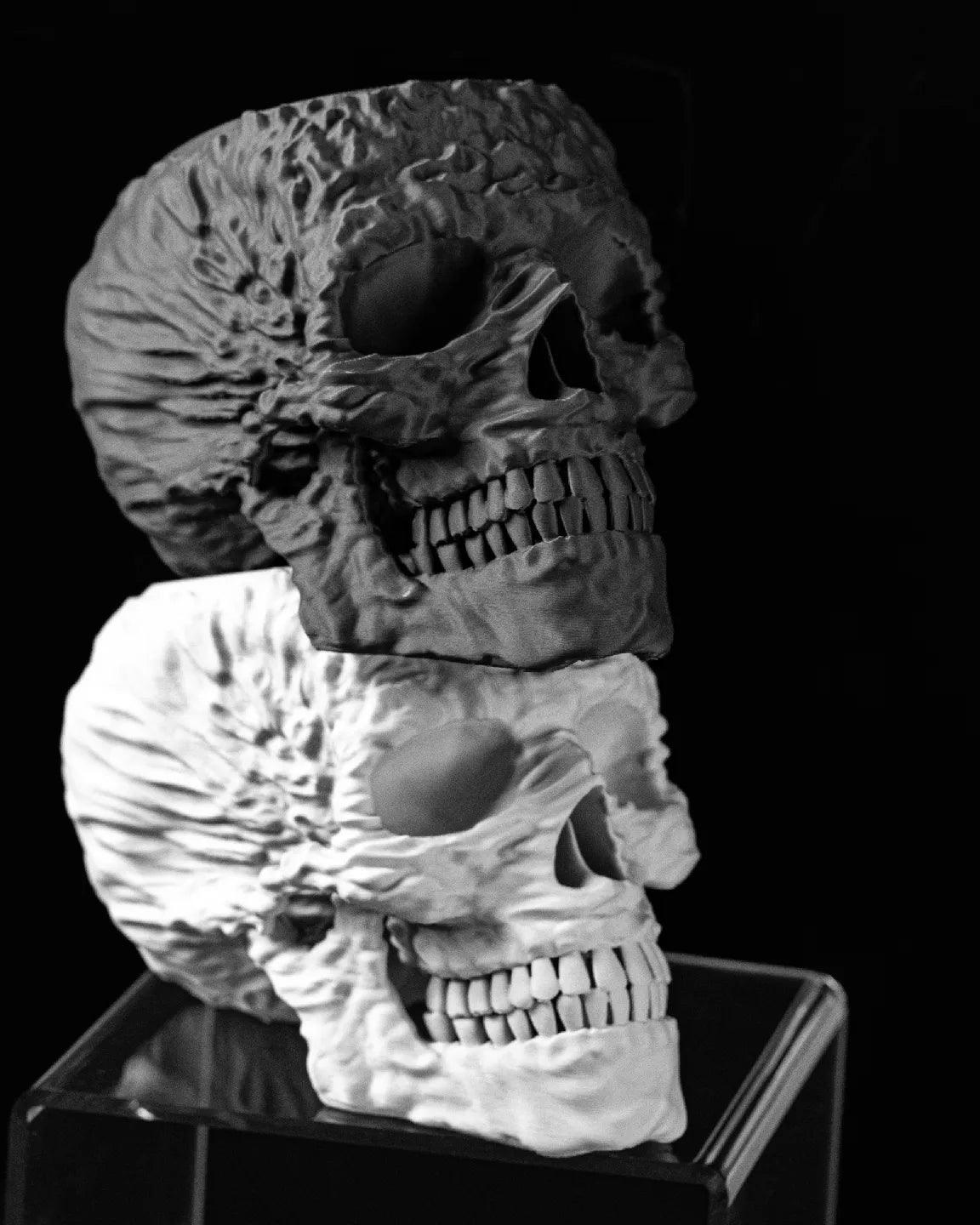 Skull Interior Planter Pot