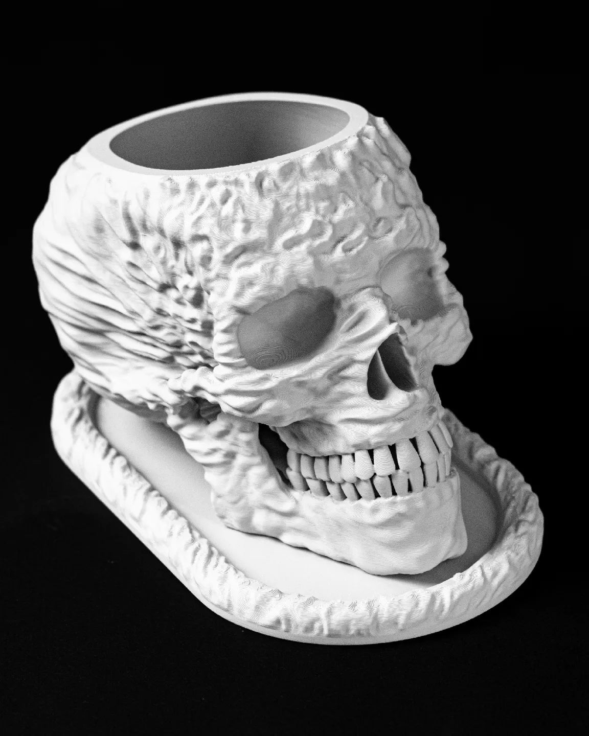 Skull Interior Planter Pot