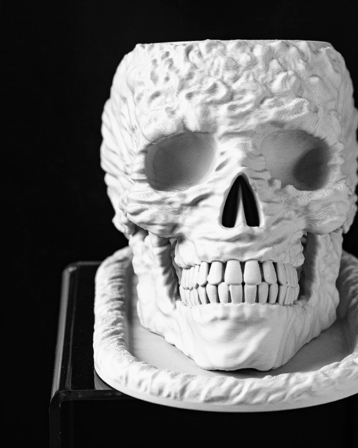 Skull Interior Planter Pot