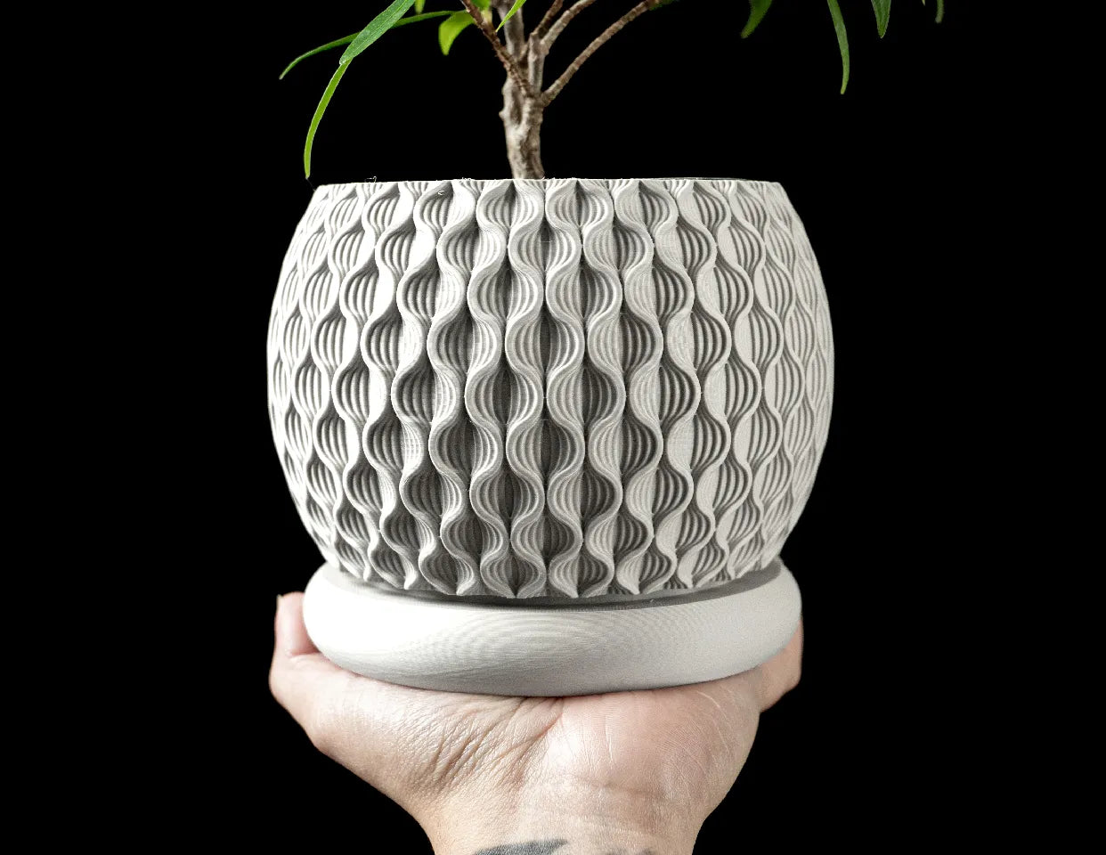 Bloom Interior planter Pot