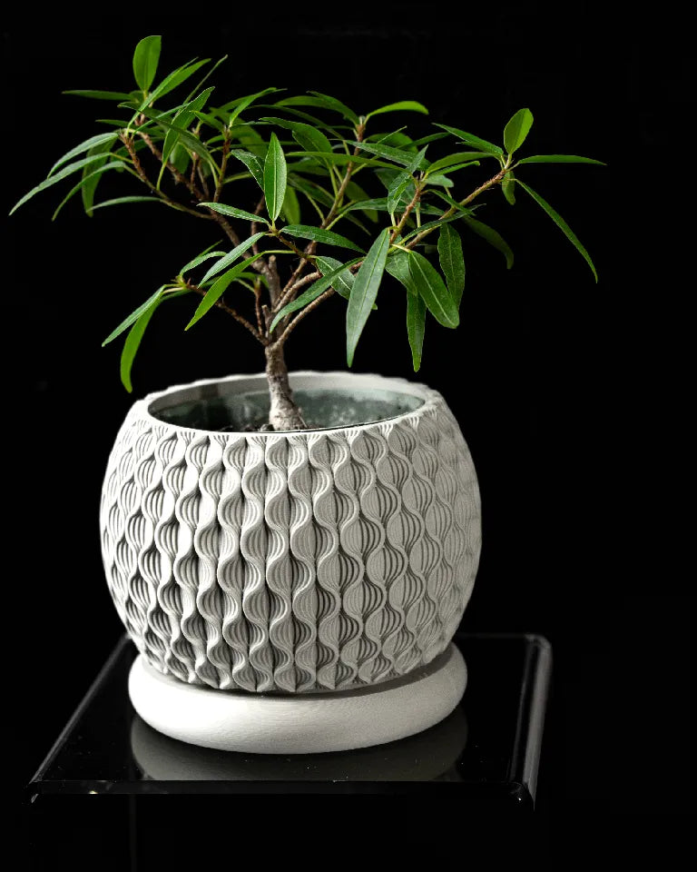 Bloom Interior planter Pot