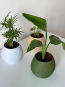 KAPKA self watering Interior planter