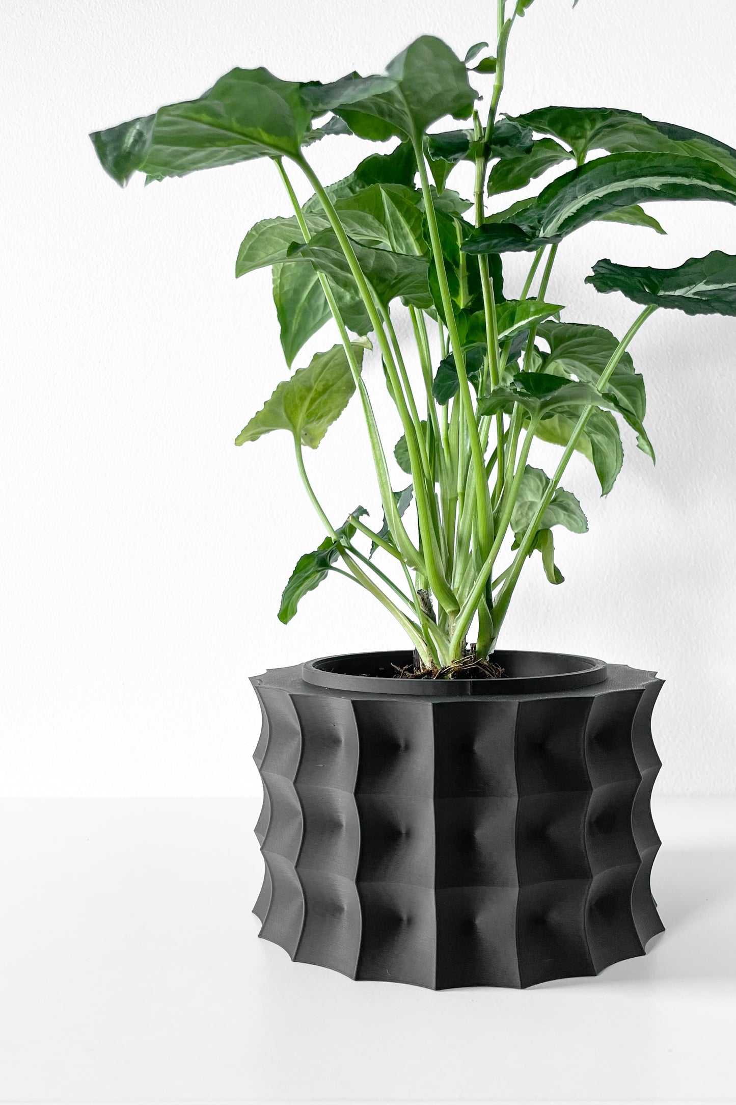 The Kivern Interior Planter Pot with Drainage Tray