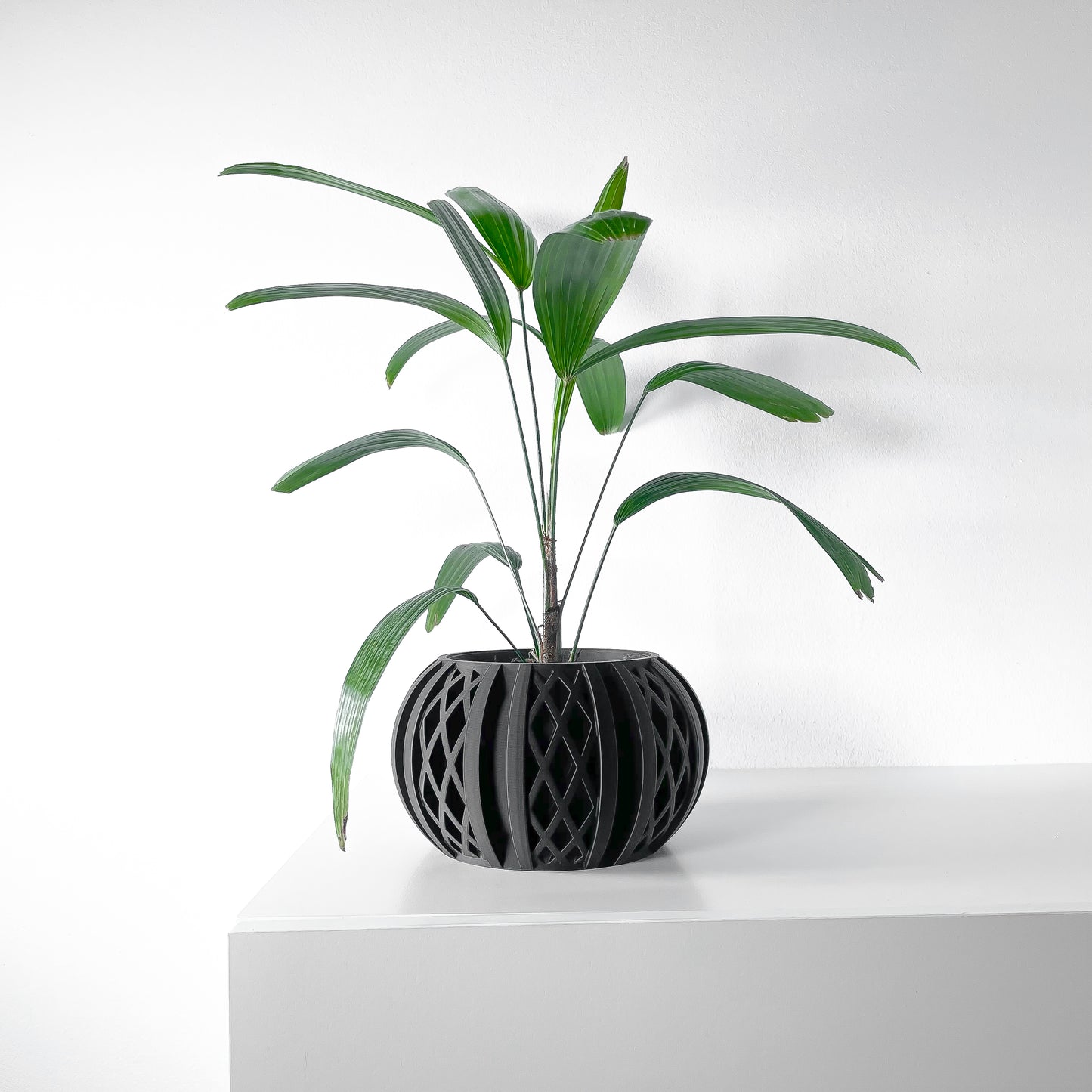 The Quivon Interior Planter Pot with Drainage Tray