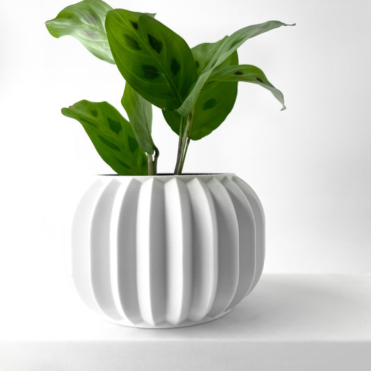 The Olin Interior Planter Pot with Drainage Tray
