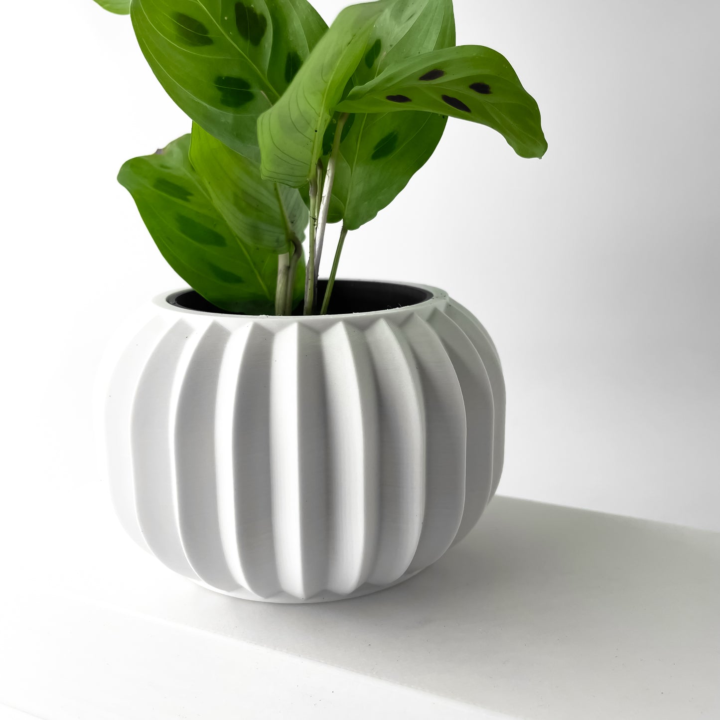 The Olin Interior Planter Pot with Drainage Tray