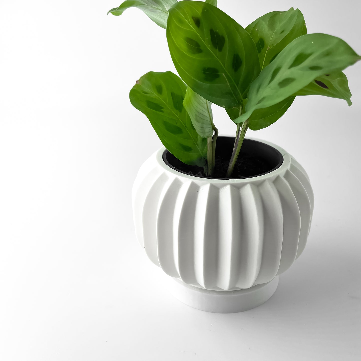The Olin Interior Planter Pot with Drainage Tray