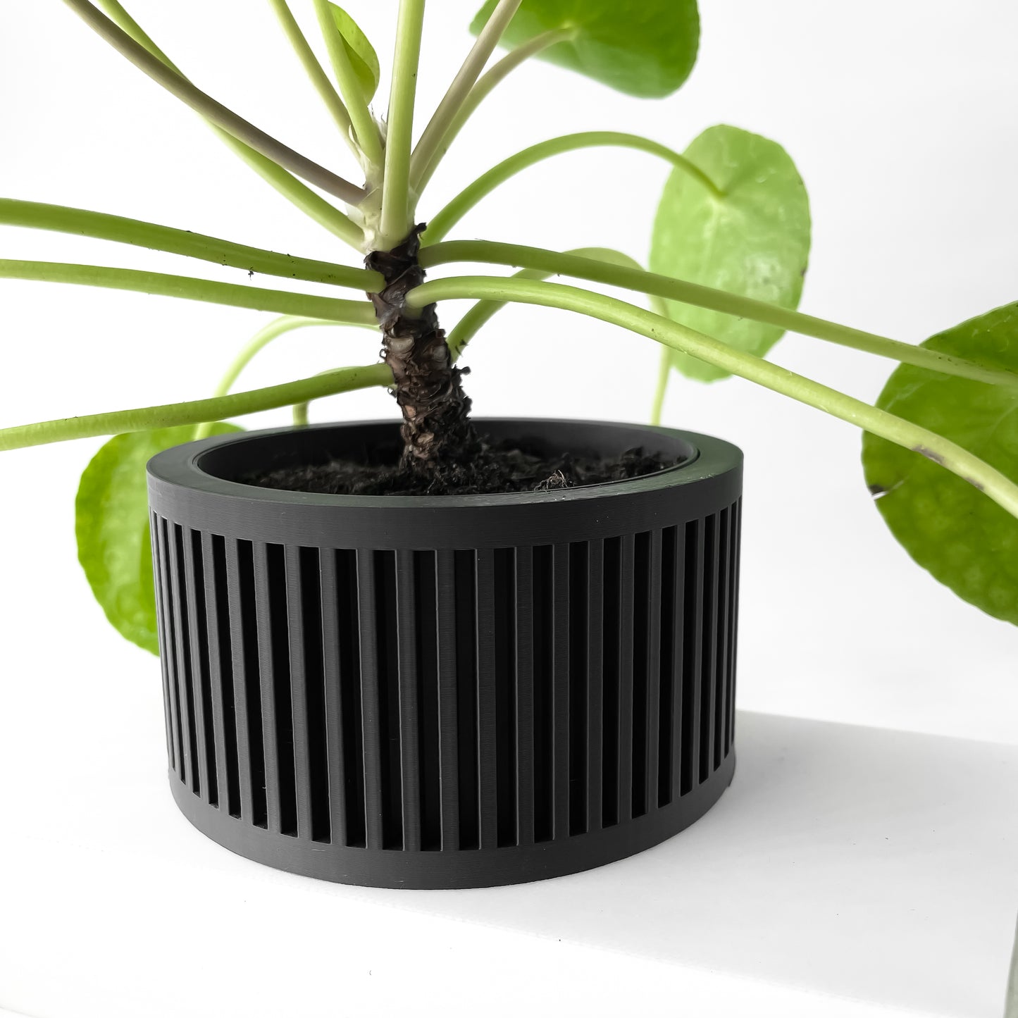 The Paxon Interior Planter Pot with Drainage Tray