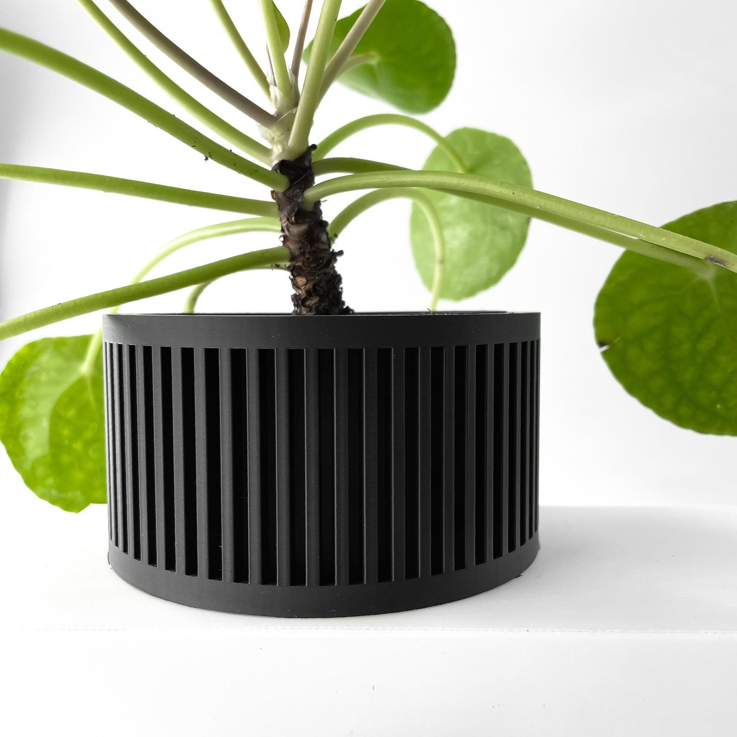 The Paxon Interior Planter Pot with Drainage Tray