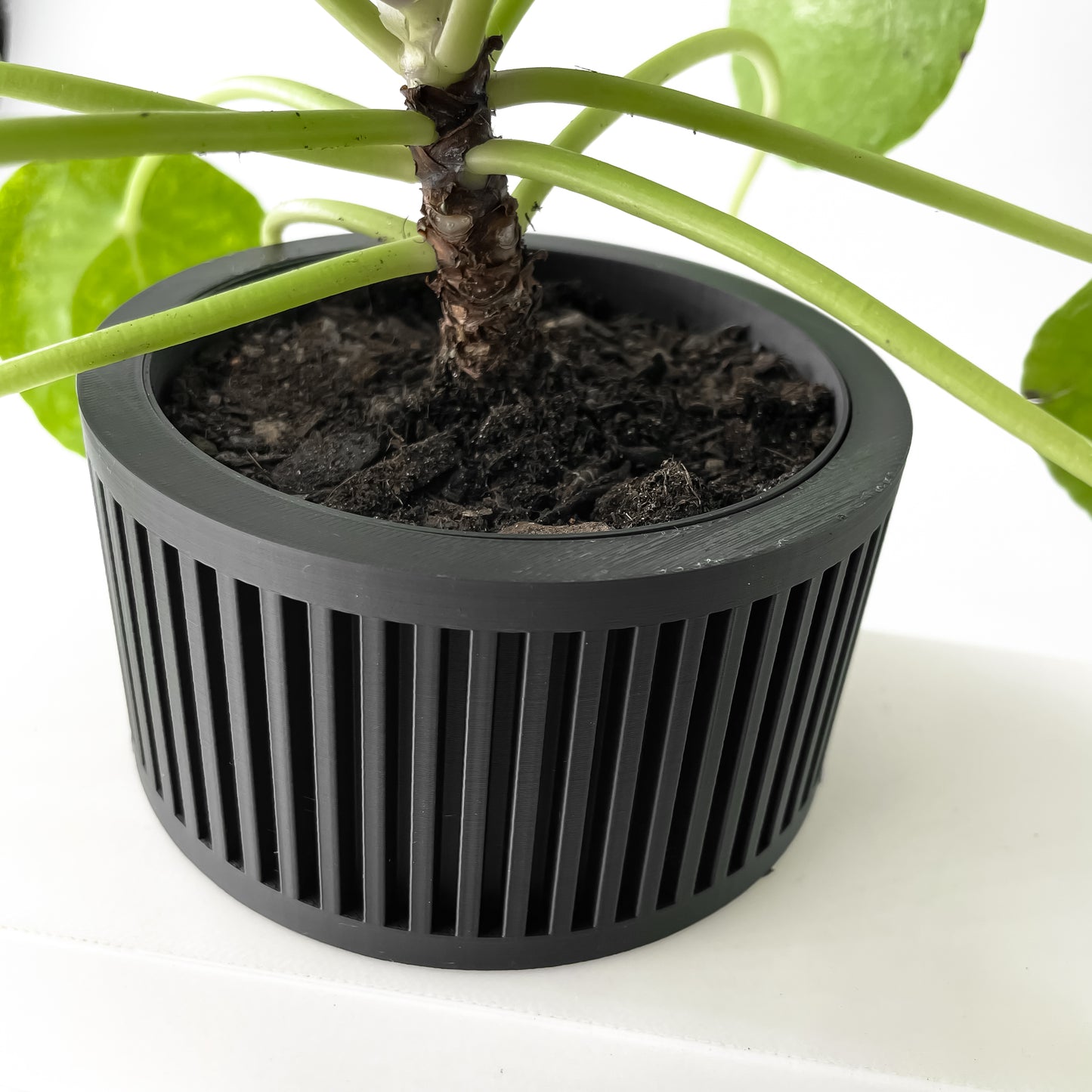 The Paxon Interior Planter Pot with Drainage Tray
