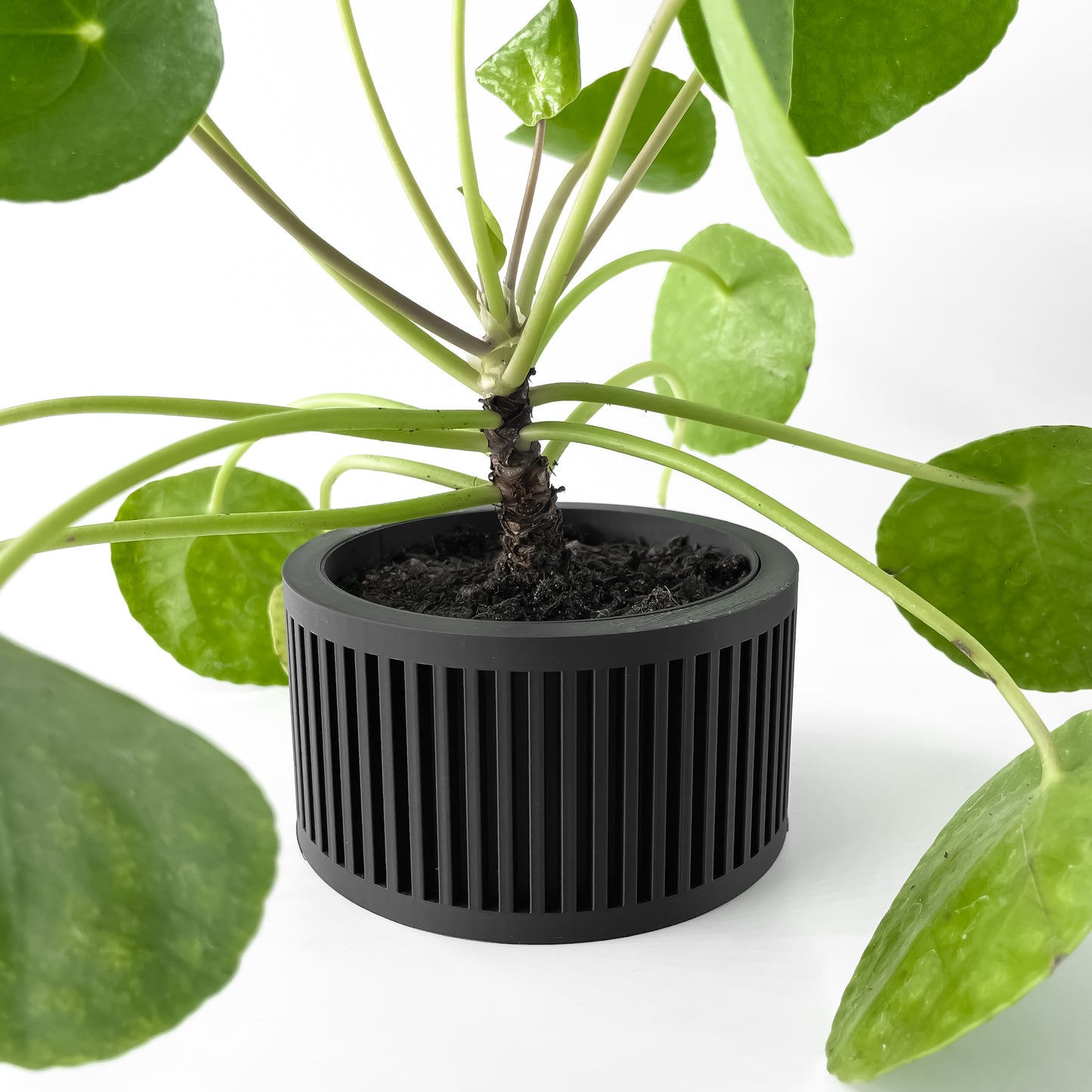The Paxon Interior Planter Pot with Drainage Tray