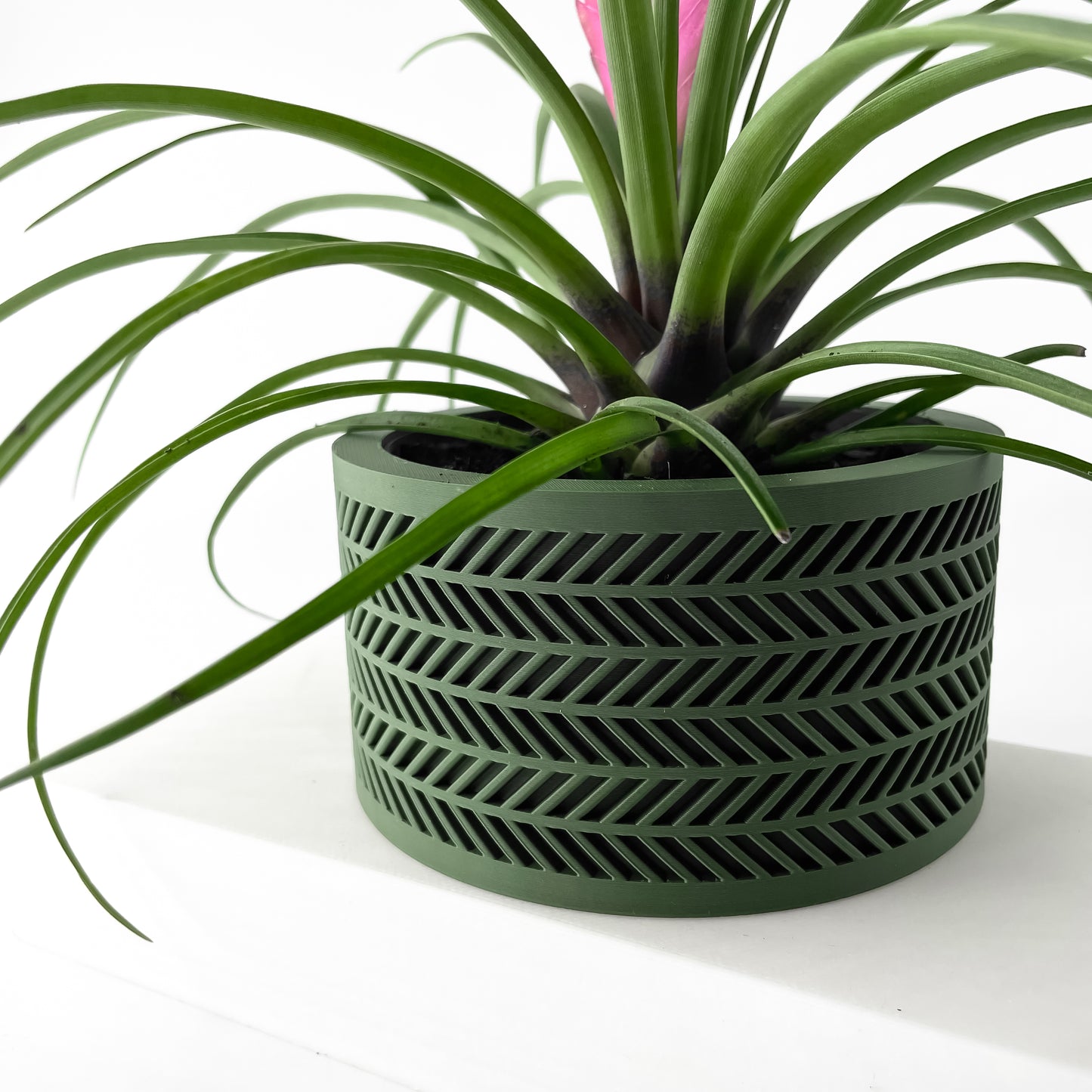 The Quen Interior Planter Pot with Drainage Tray
