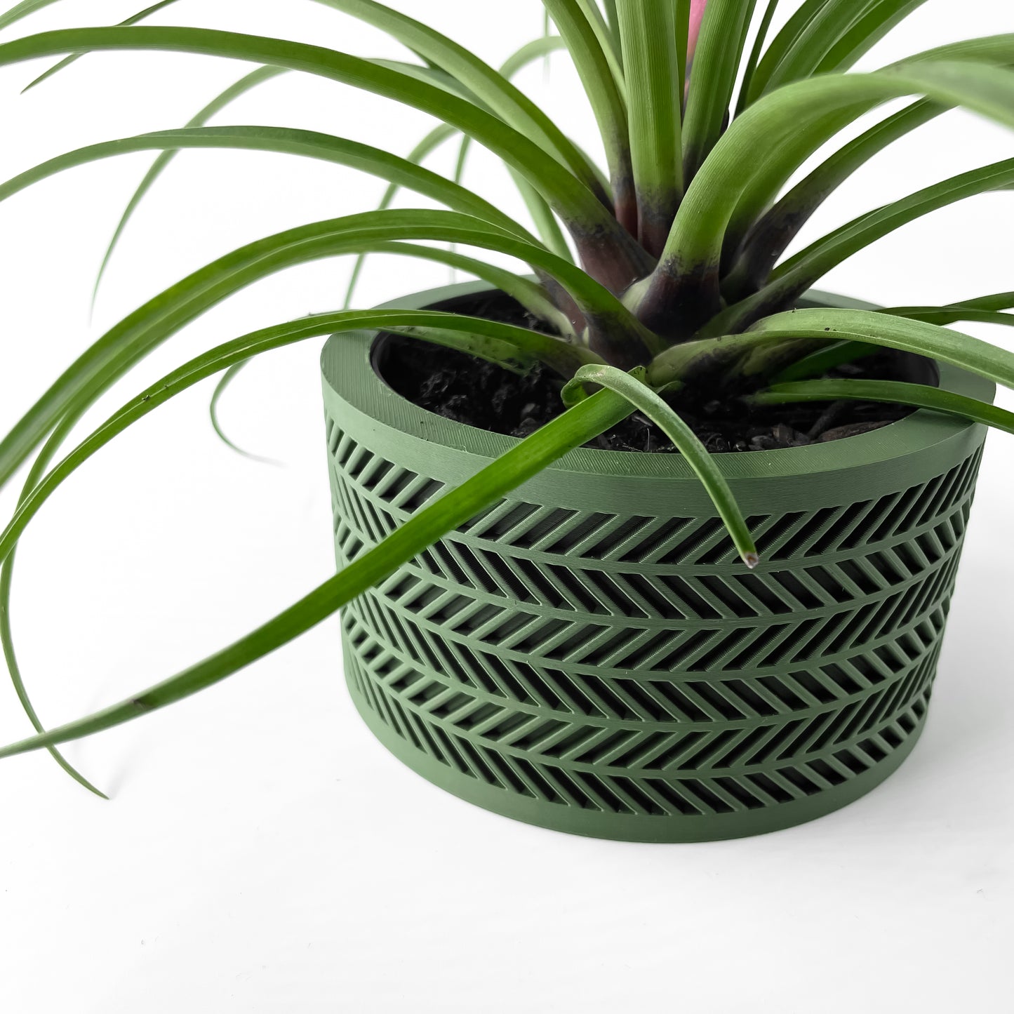 The Quen Interior Planter Pot with Drainage Tray