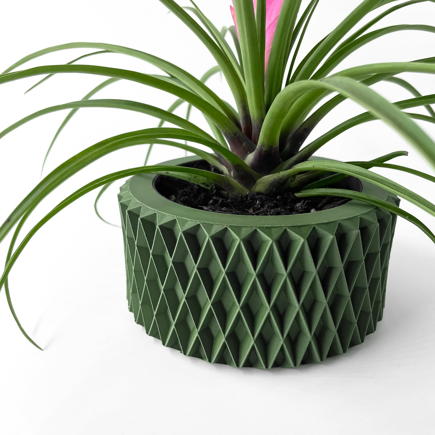 The Sarv Interior Planter Pot with Drainage Tray