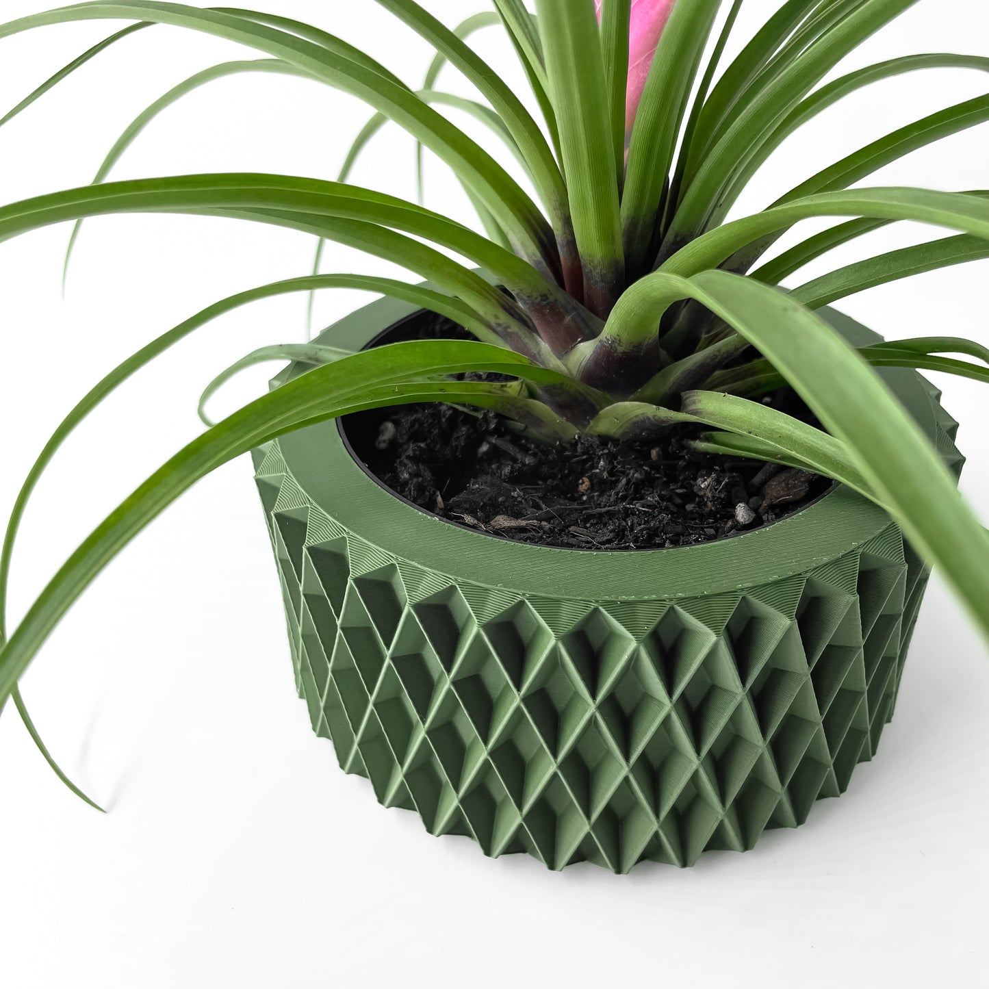 The Sarv Interior Planter Pot with Drainage Tray