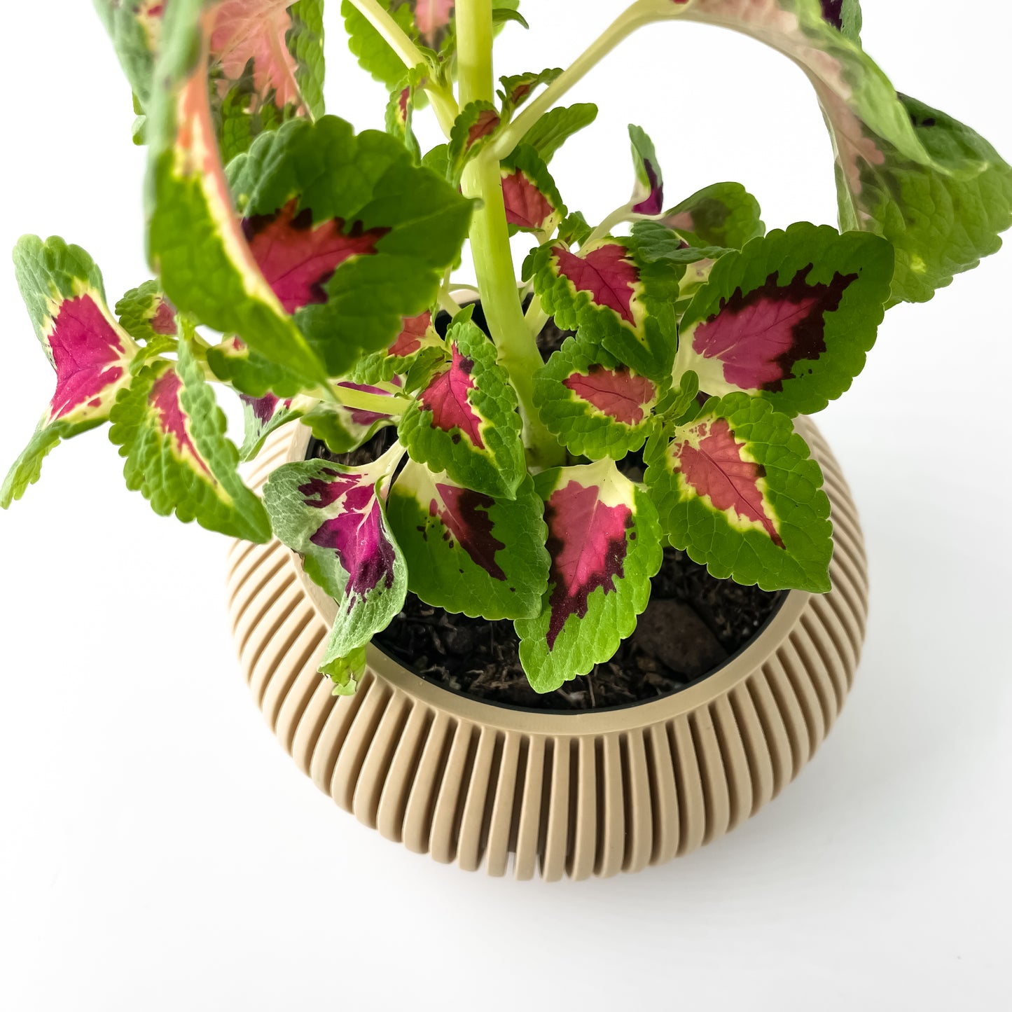 The Rodel Interior Planter Pot with Drainage Tray