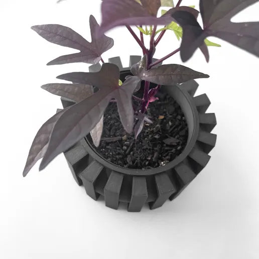 The Erlin Interior Planter Pot with Drainage Tray