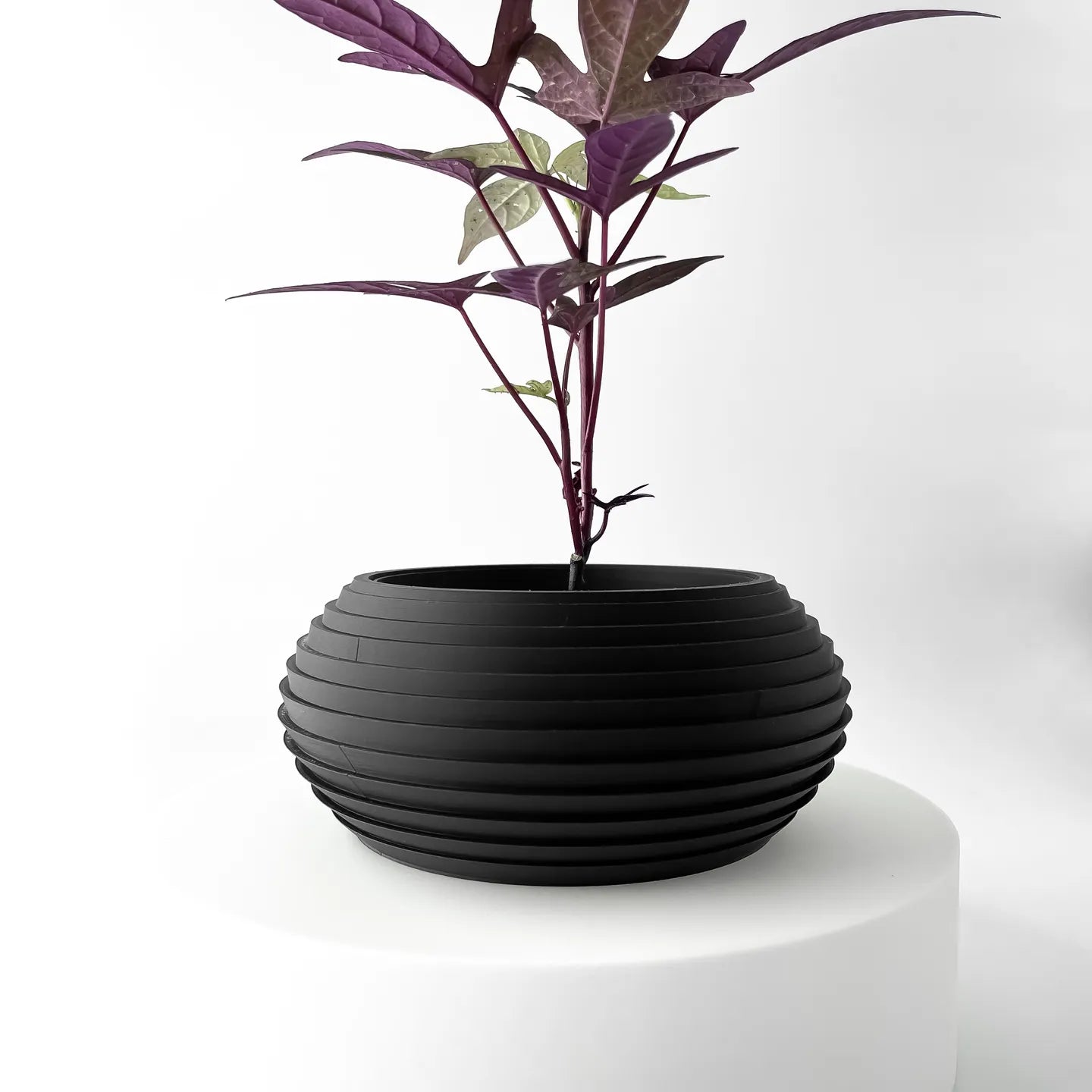The Frons Interior Planter Pot with Drainage Tray
