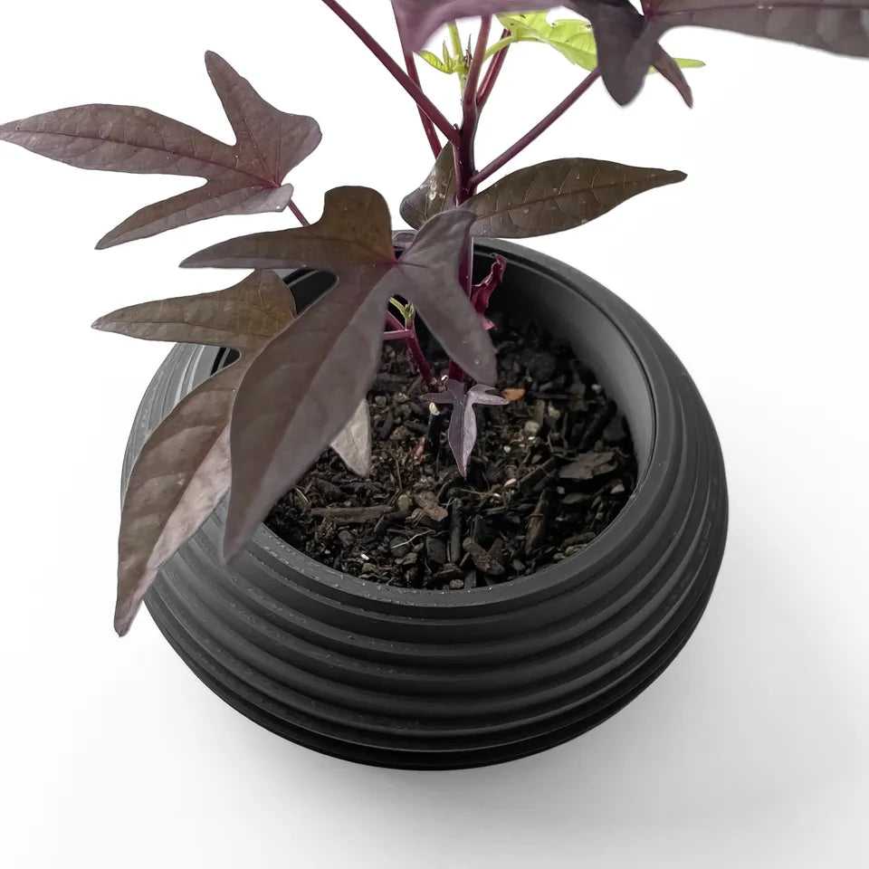 The Frons Interior Planter Pot with Drainage Tray