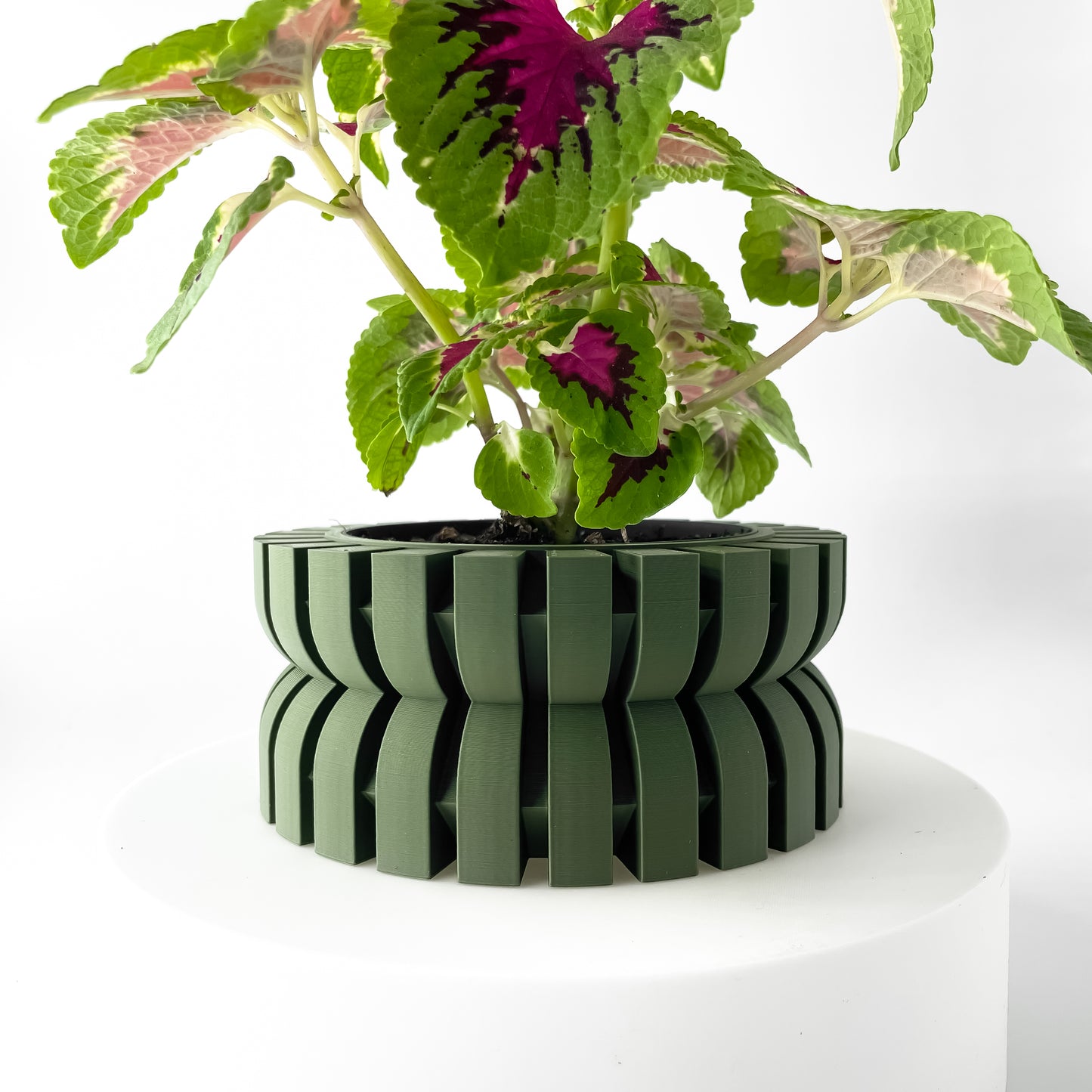 The Griva Interior Planter Pot with Drainage Tray