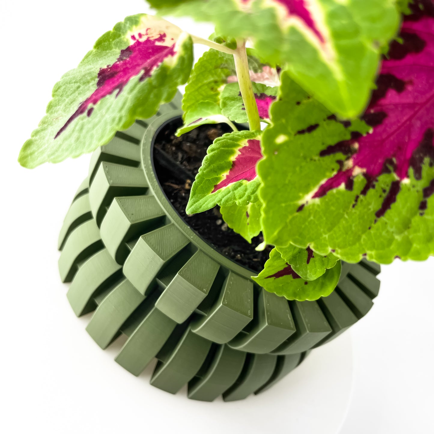 The Griva Interior Planter Pot with Drainage Tray