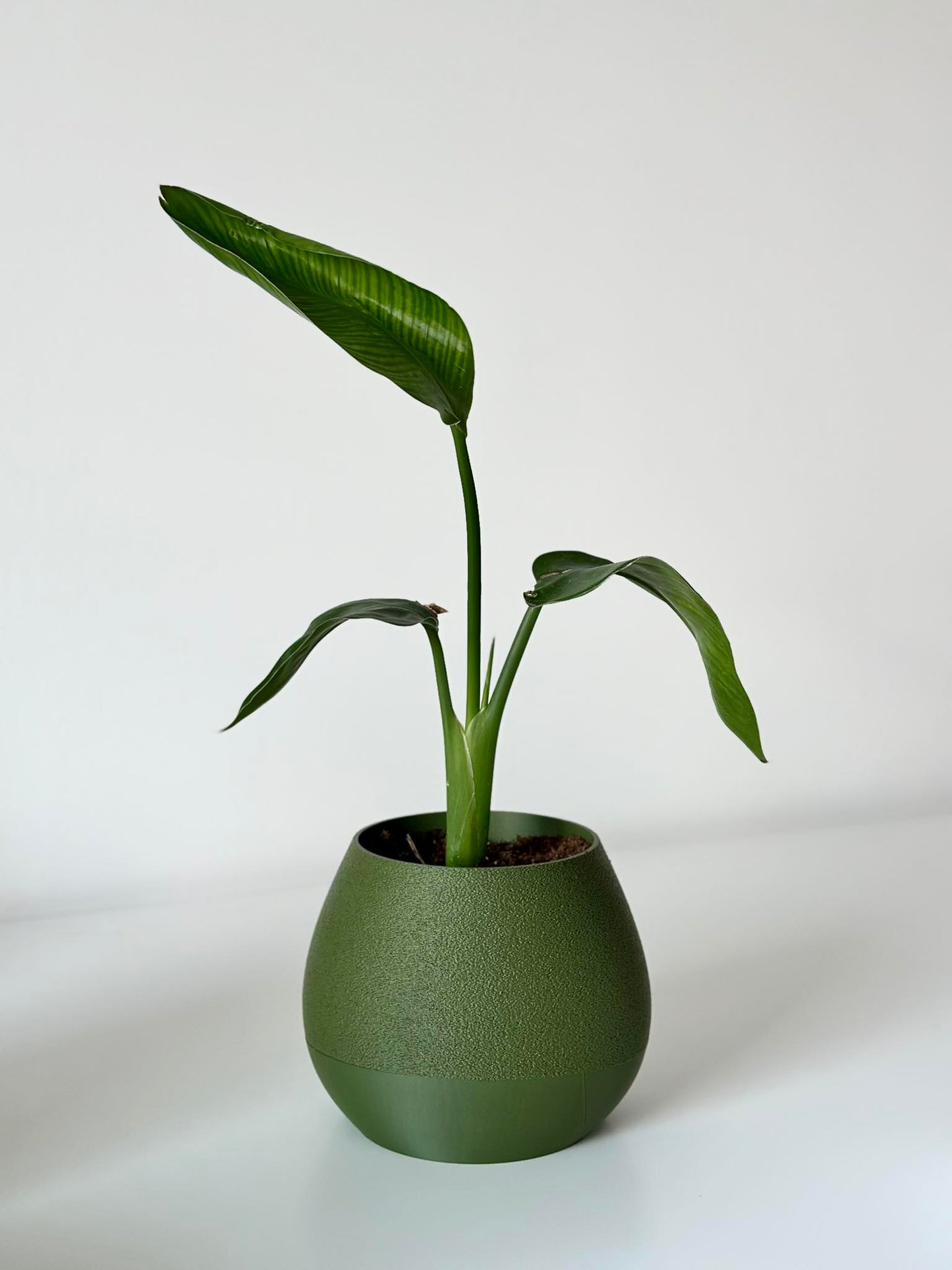 KAPKA self watering Interior planter