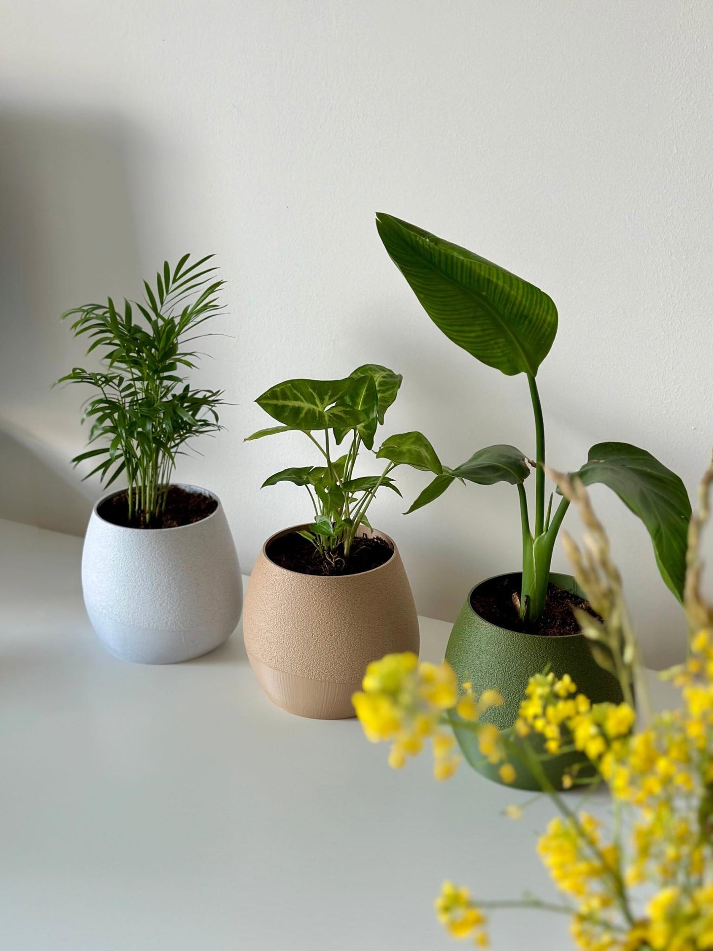 KAPKA self watering Interior planter