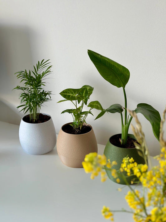 KAPKA self watering Interior planter