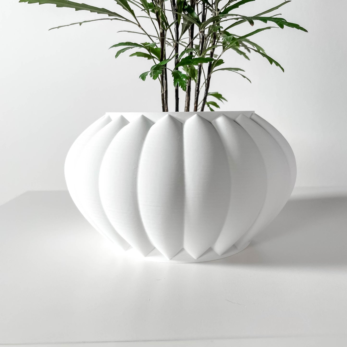 The Bunos Interior Planter Pot with Drainage Tray