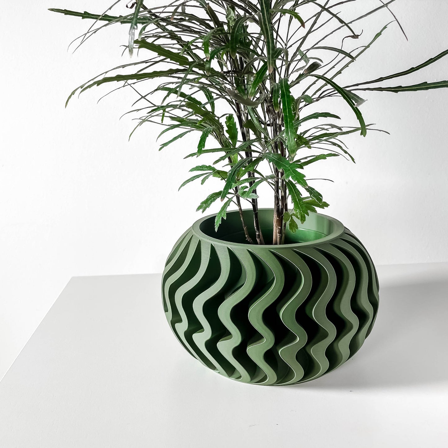 The Noli Interior Planter Pot with Drainage