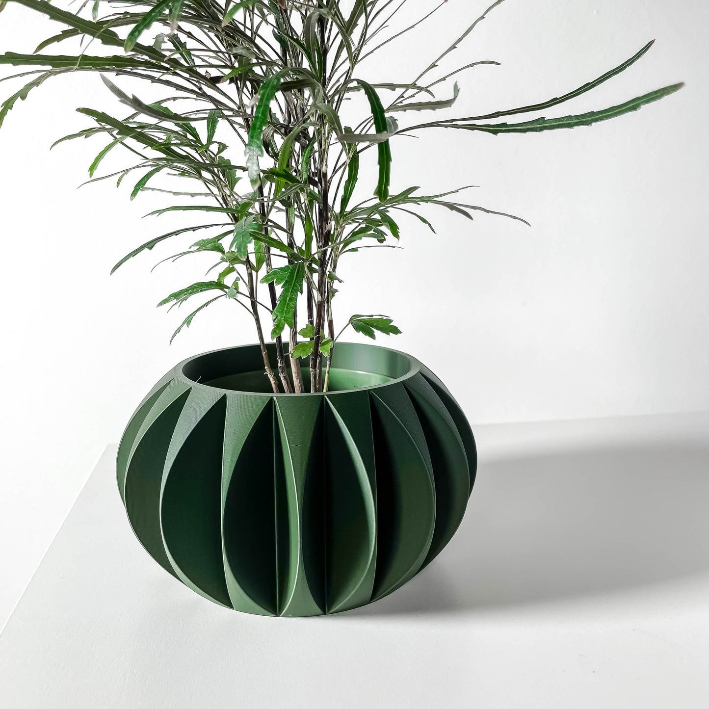KIRE INTERIOR PLANTER POT WITH DRAINAGE TRAY