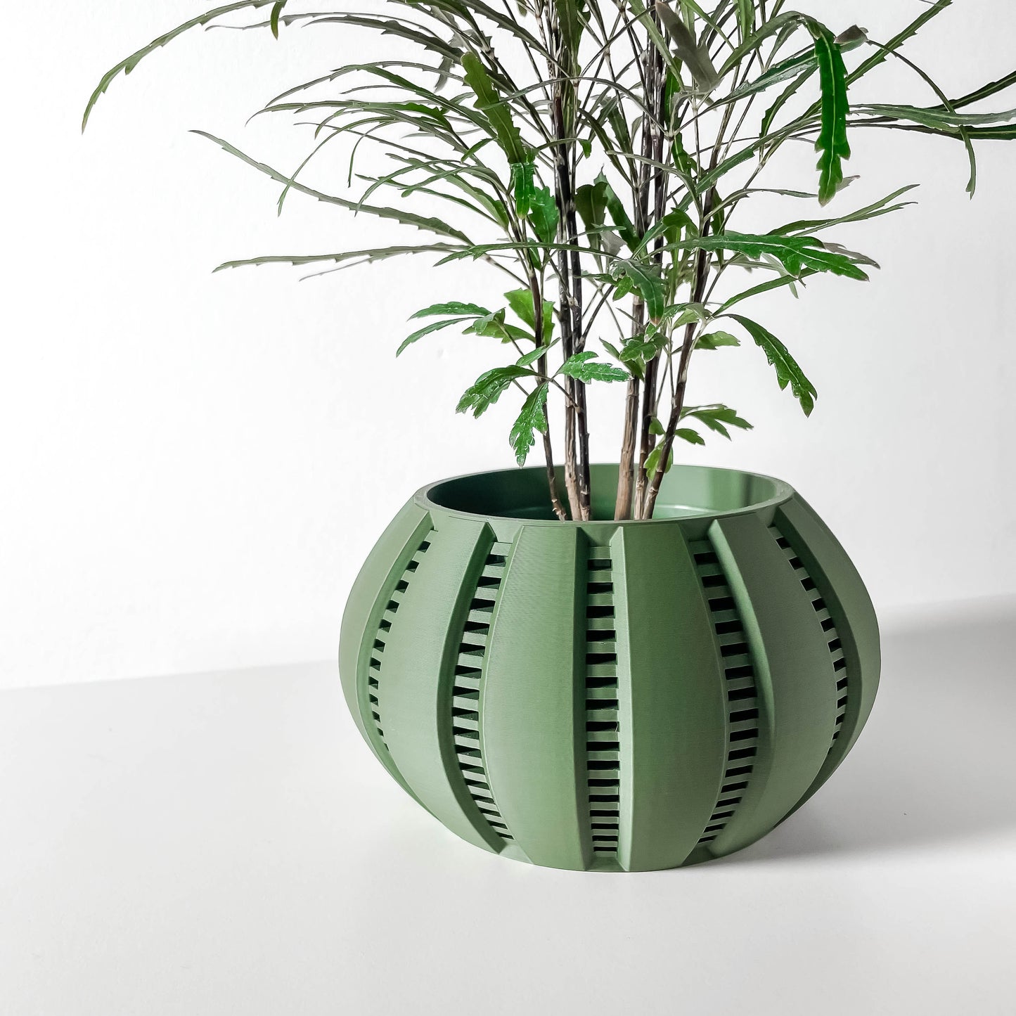 The Balu Interior Planter Pot with Drainage Tray
