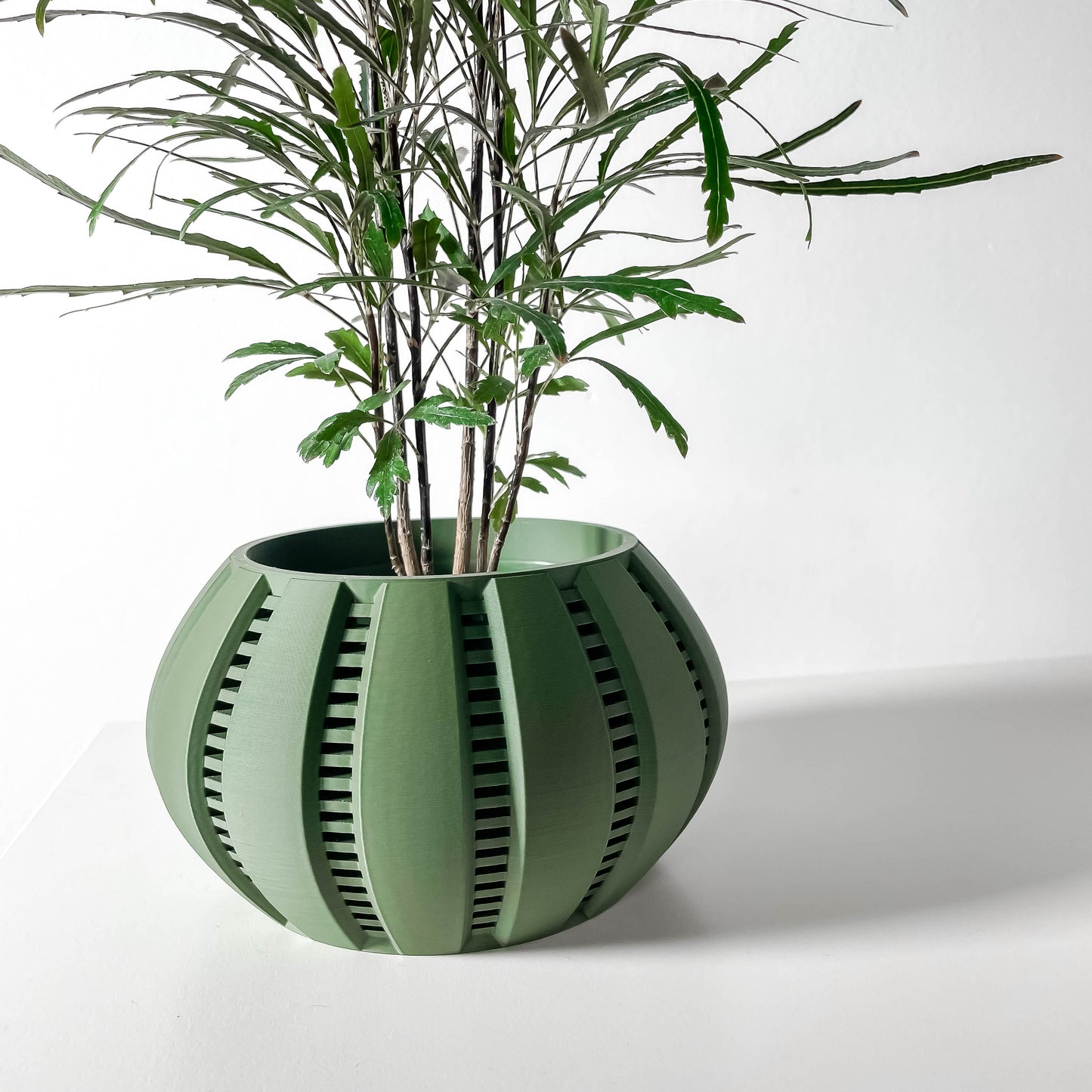 The Balu Interior Planter Pot with Drainage Tray