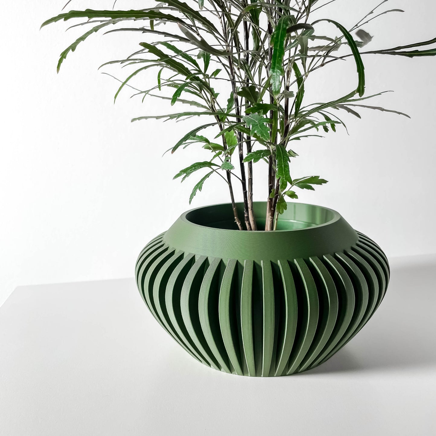 The Caios Interior Planter Pot with Drainage Tray